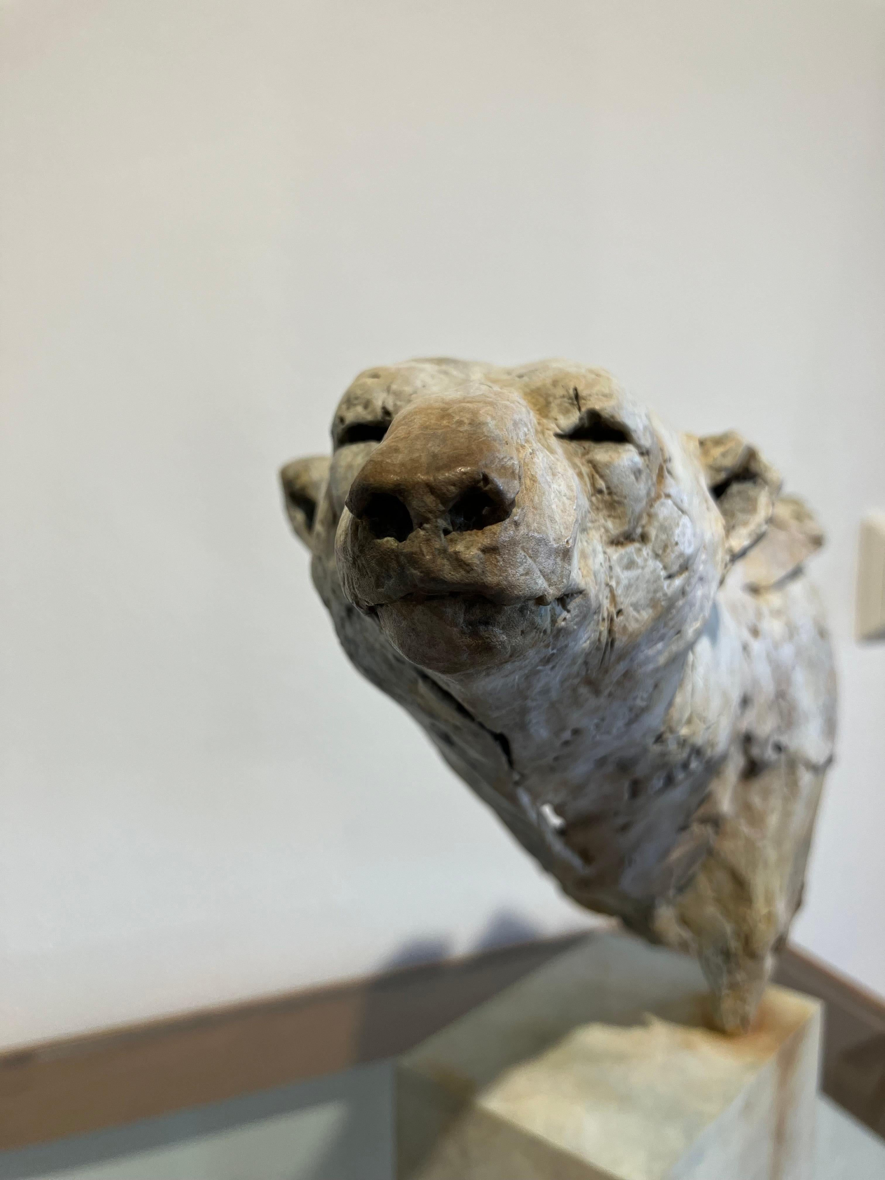 ''Arctic Bear'', Contemporary Bronze Sculpture Portrait of an Arctic Bear 2