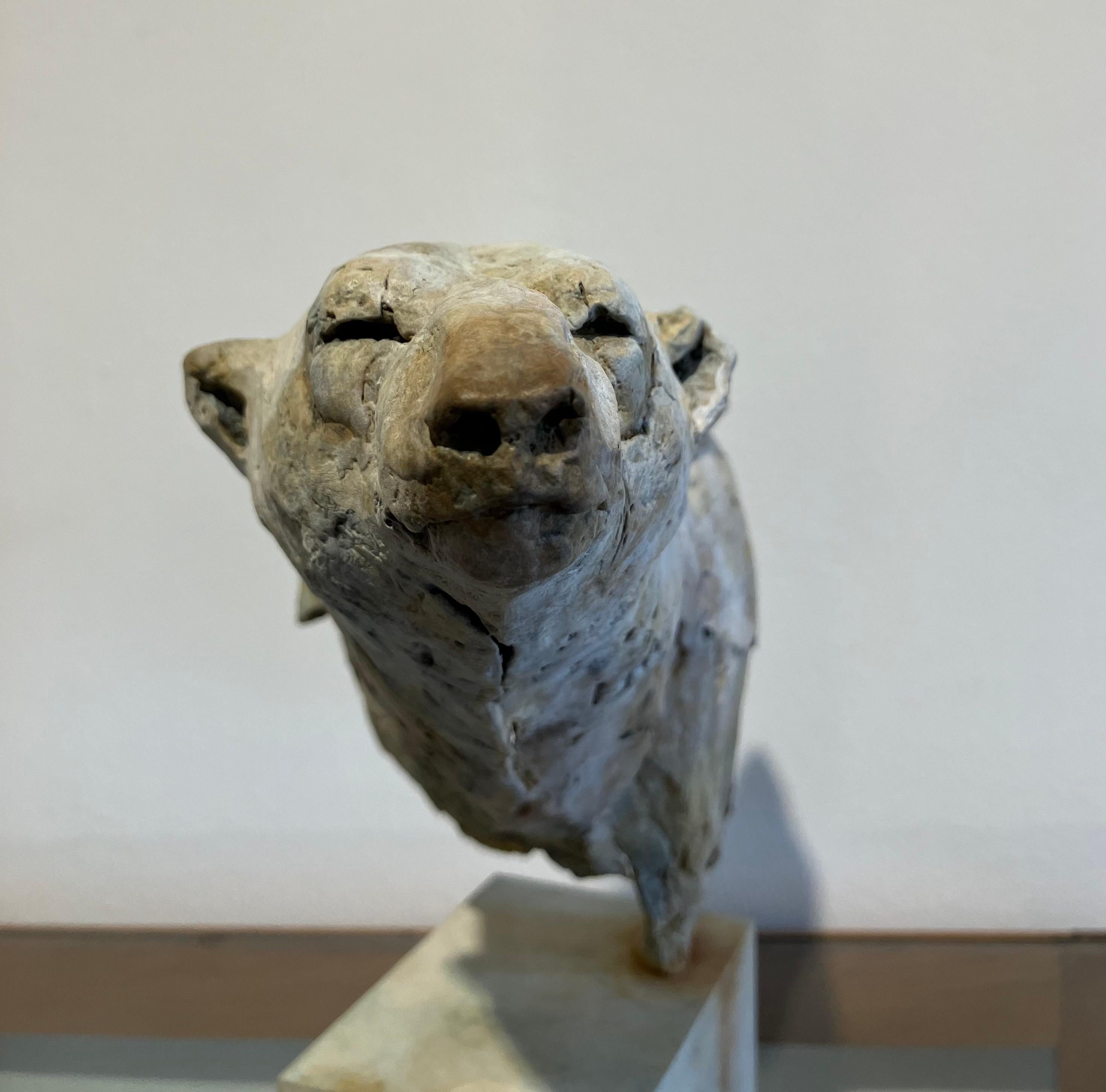 ''Arctic Bear'', Contemporary Bronze Sculpture Portrait of an Arctic Bear 3