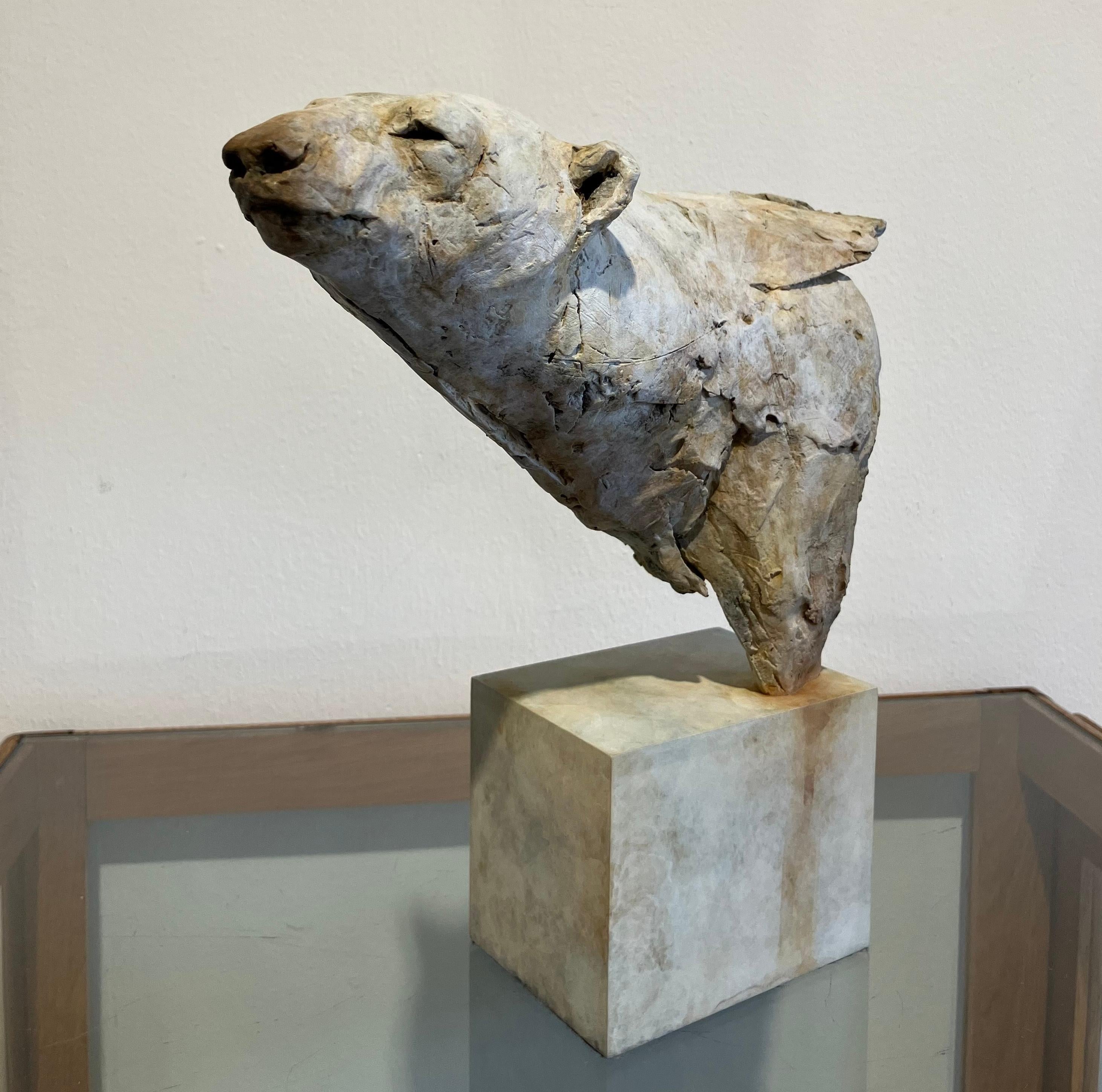 ''Arctic Bear'', Contemporary Bronze Sculpture Portrait of an Arctic Bear 4