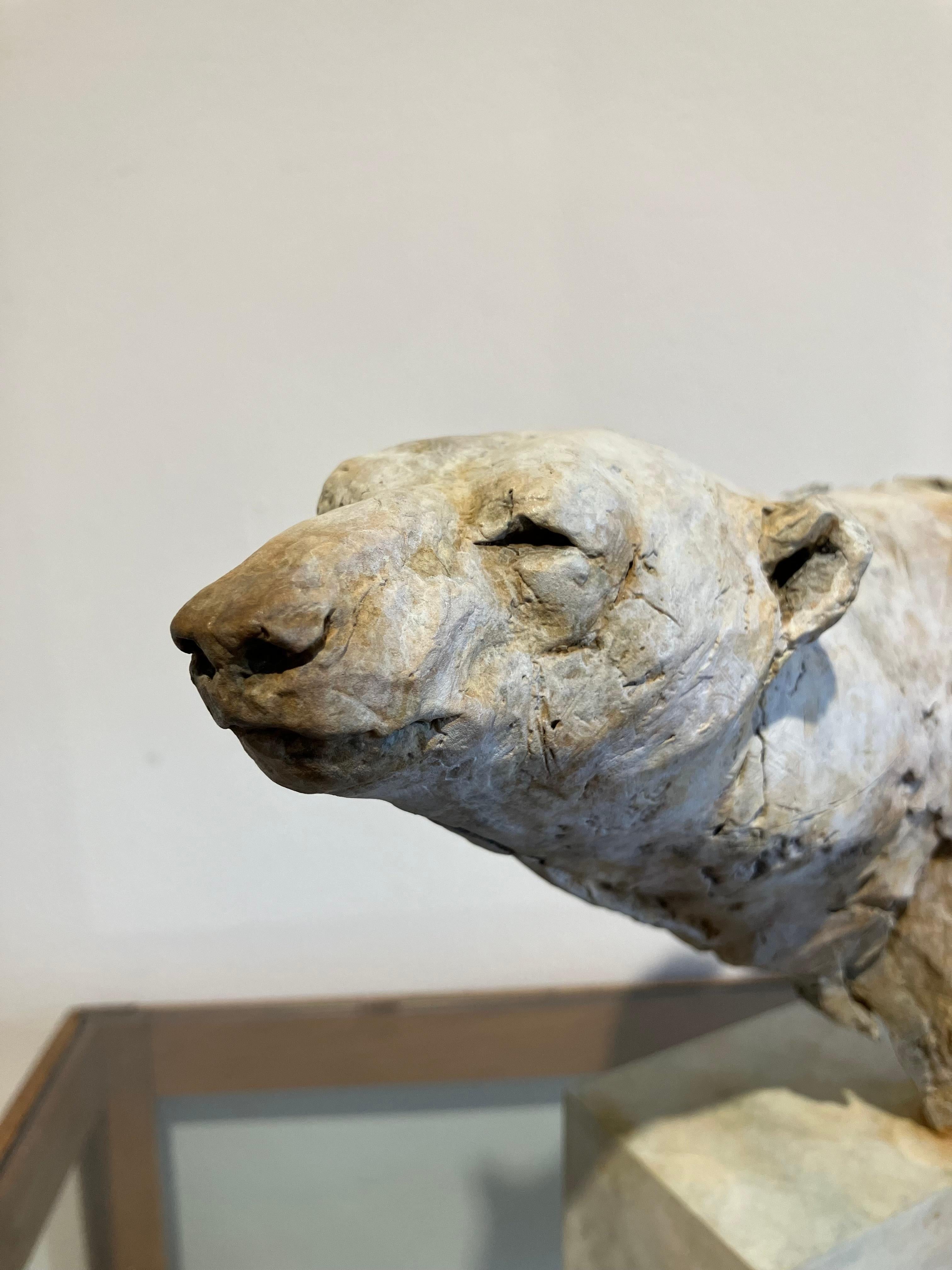 ''Arctic Bear'', Contemporary Bronze Sculpture Portrait of an Arctic Bear 5