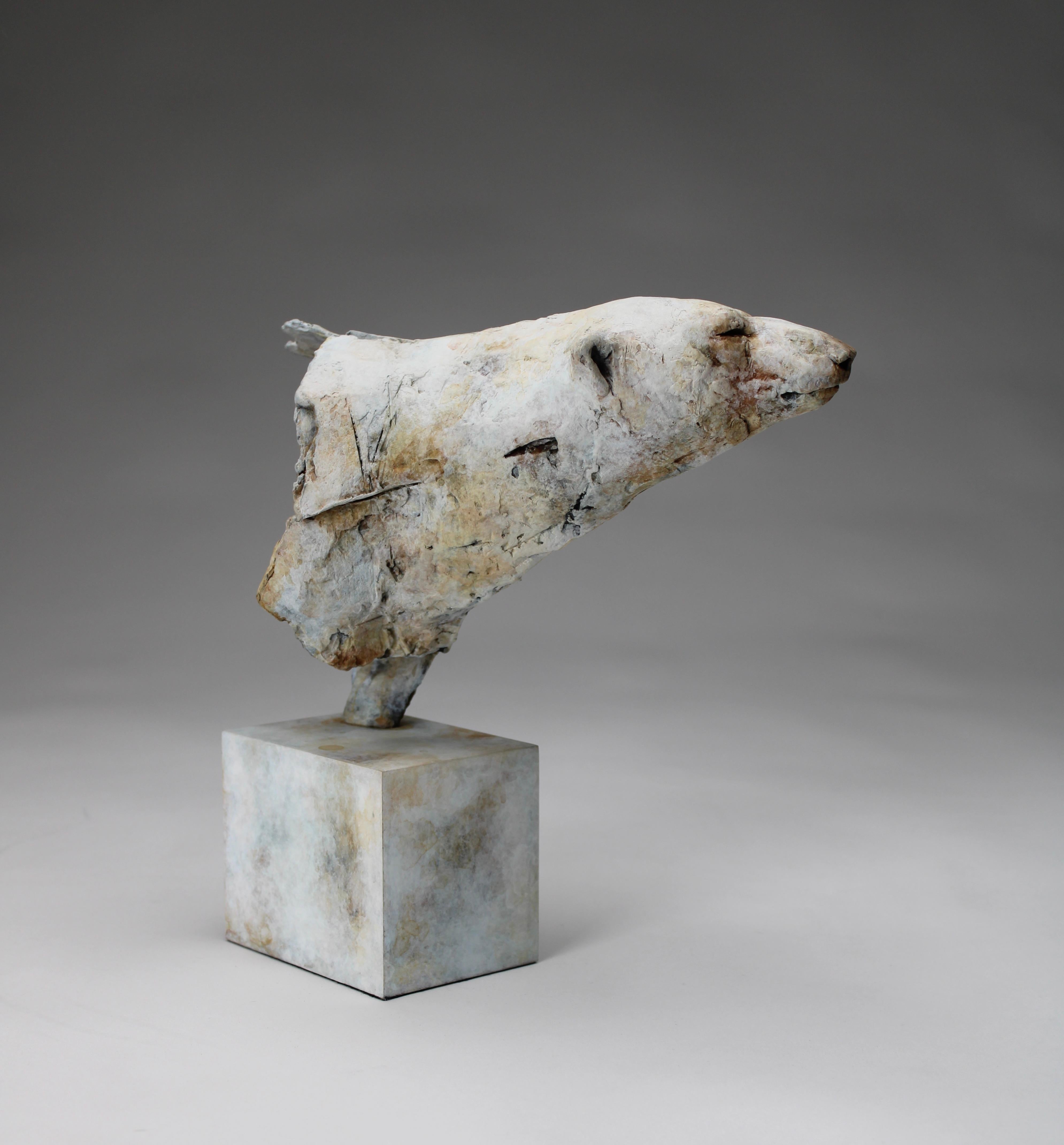 ''Orso artico'', scultura contemporanea in bronzo Ritratto di un orso artico