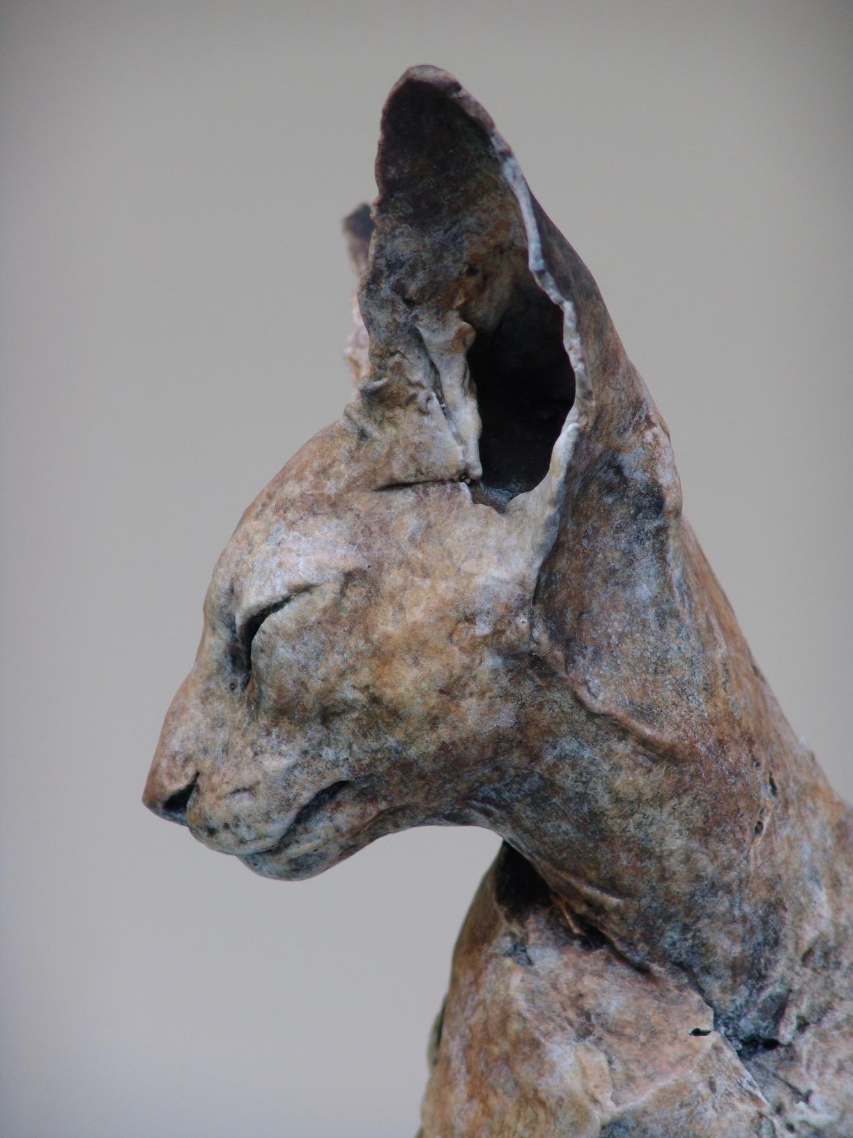 ''Bastet Study 1'', Contemporary Bronze Sculpture Portrait of a Bastet, Cat 3