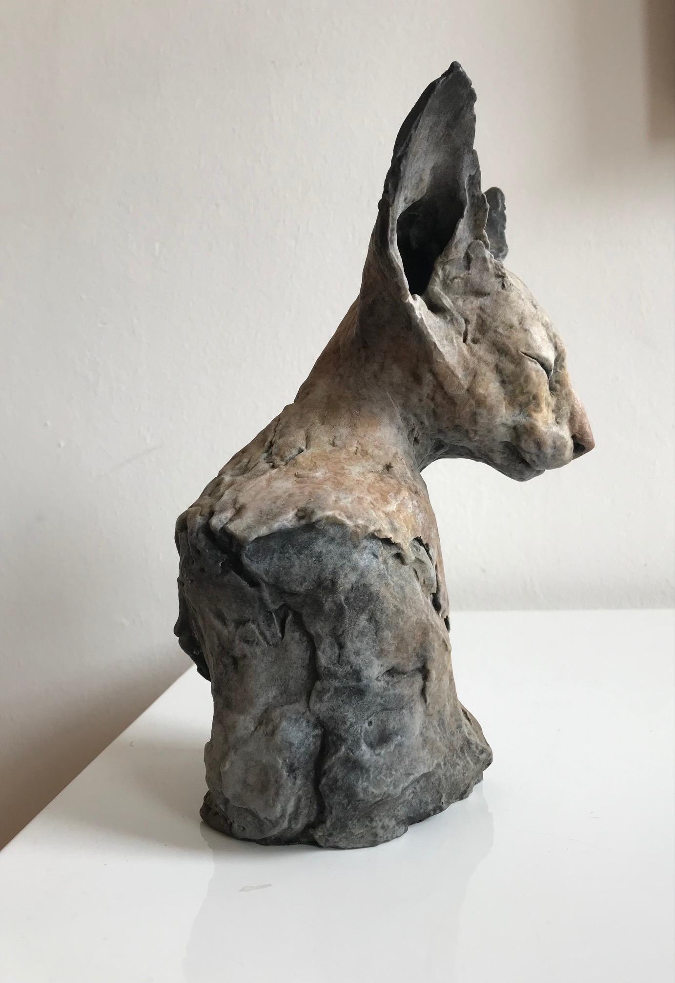 ''Bastet Study 1'', Contemporary Bronze Sculpture Portrait of a Bastet, Cat 1