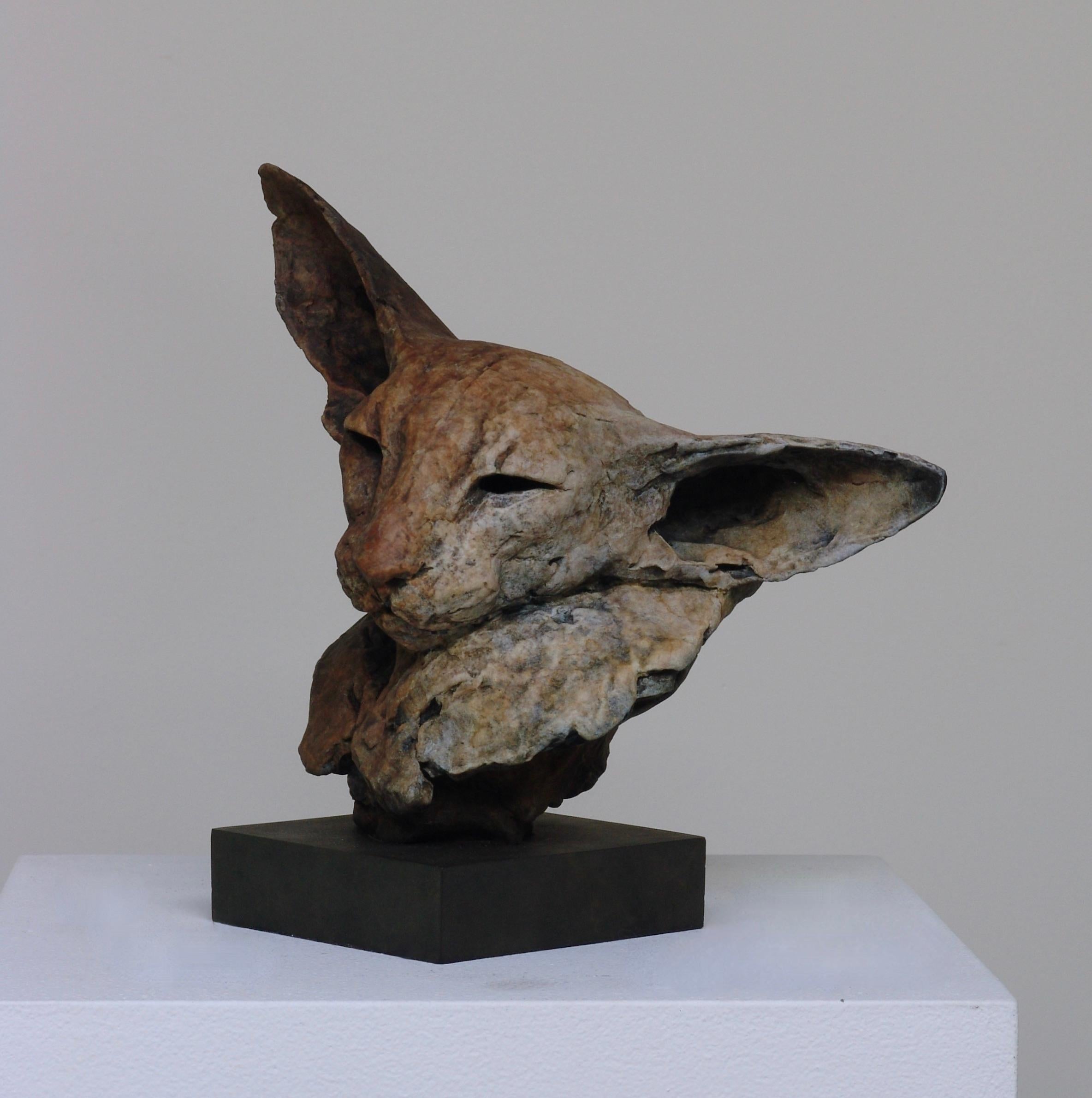 ''Bastet Study 2'', Contemporary Bronze Sculpture Portrait of a Bastet, Cat 1