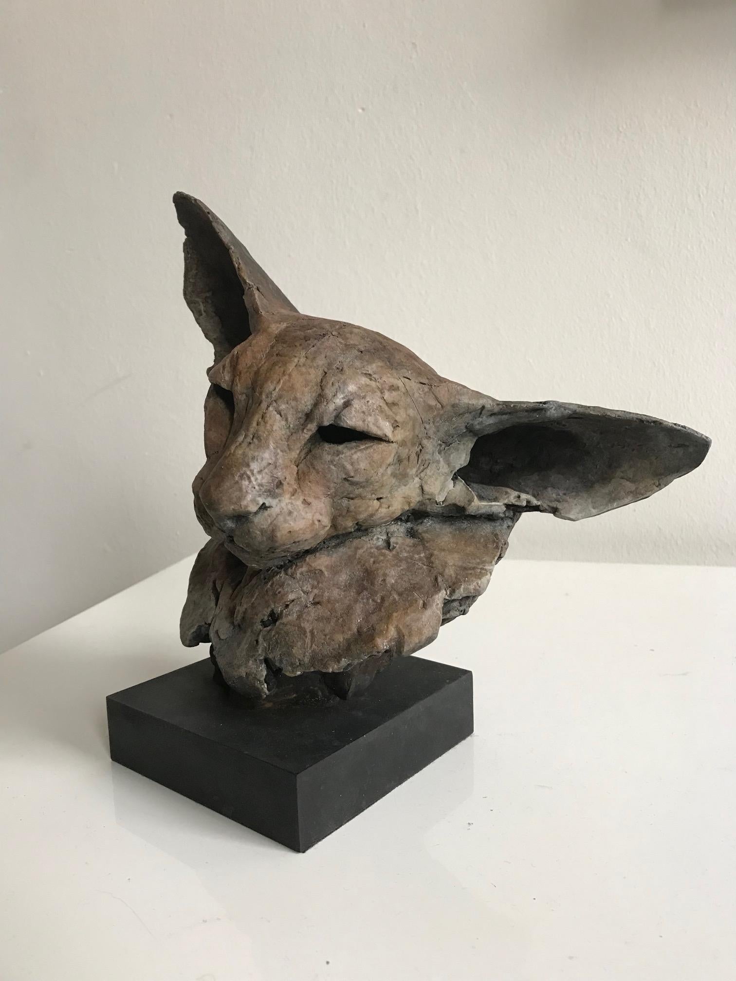 ''Bastet Study 2'', Contemporary Bronze Sculpture Portrait of a Bastet, Cat 2