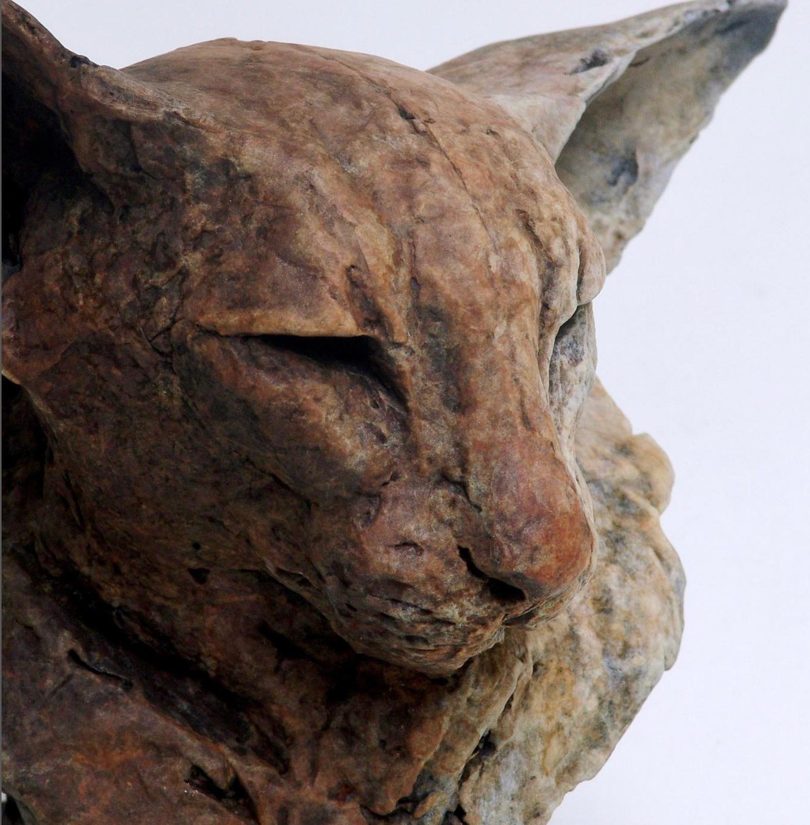 ''Bastet Study 2'', Contemporary Bronze Sculpture Portrait of a Bastet, Cat 3