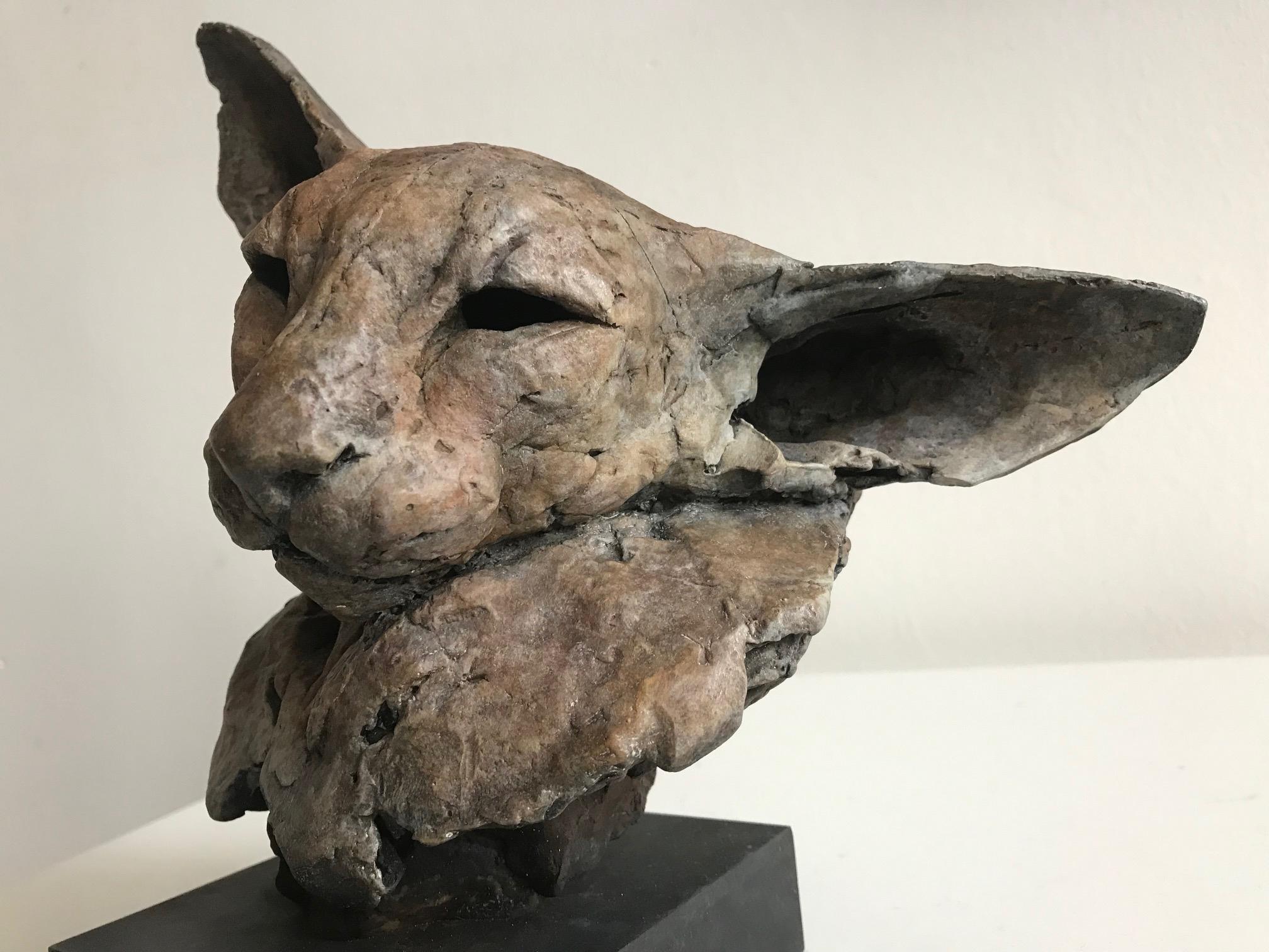 ''Bastet Study 2'', Contemporary Bronze Sculpture Portrait of a Bastet, Cat 6