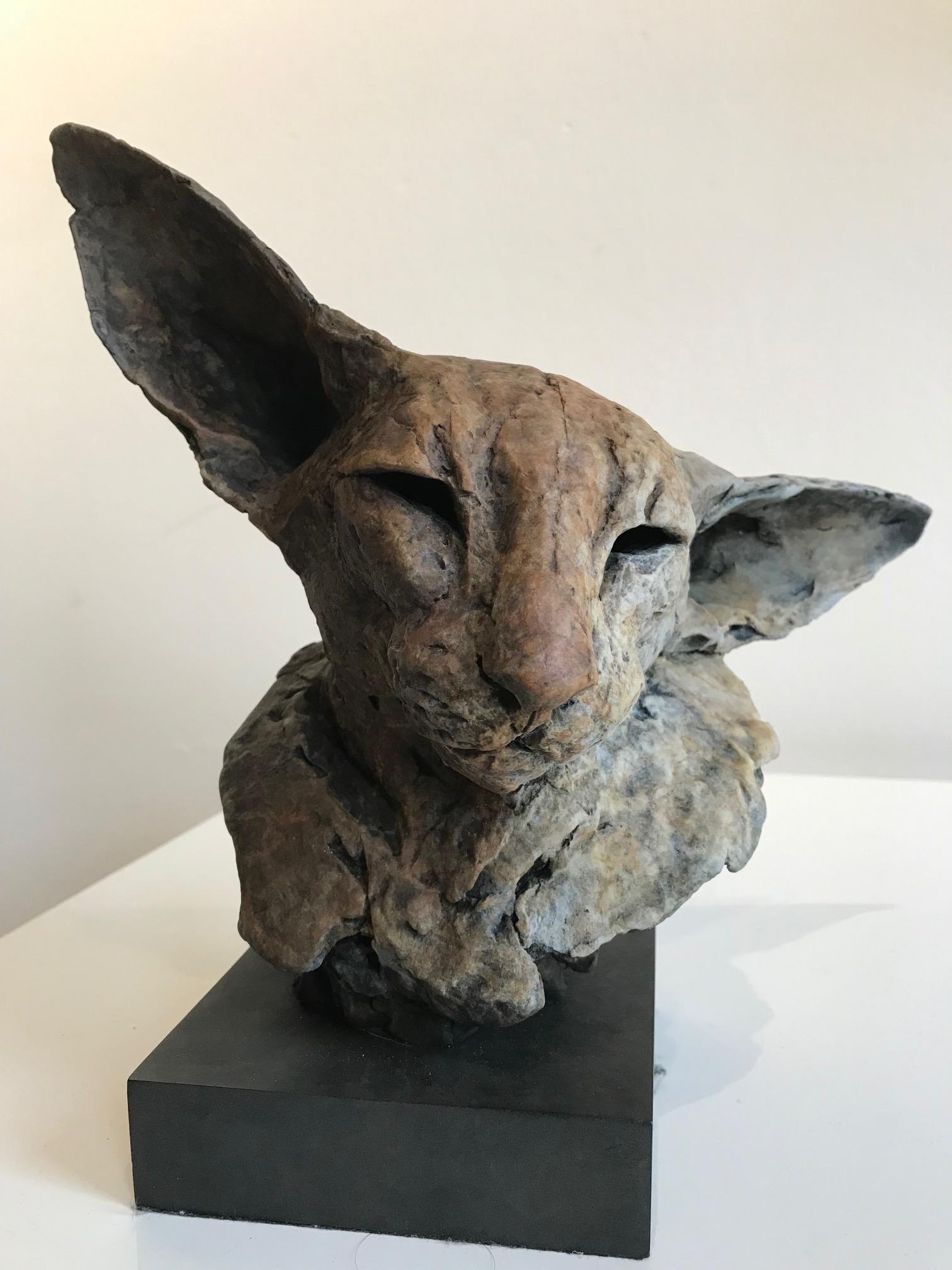 ''Bastet Study 2'', Contemporary Bronze Sculpture Portrait of a Bastet, Cat 7
