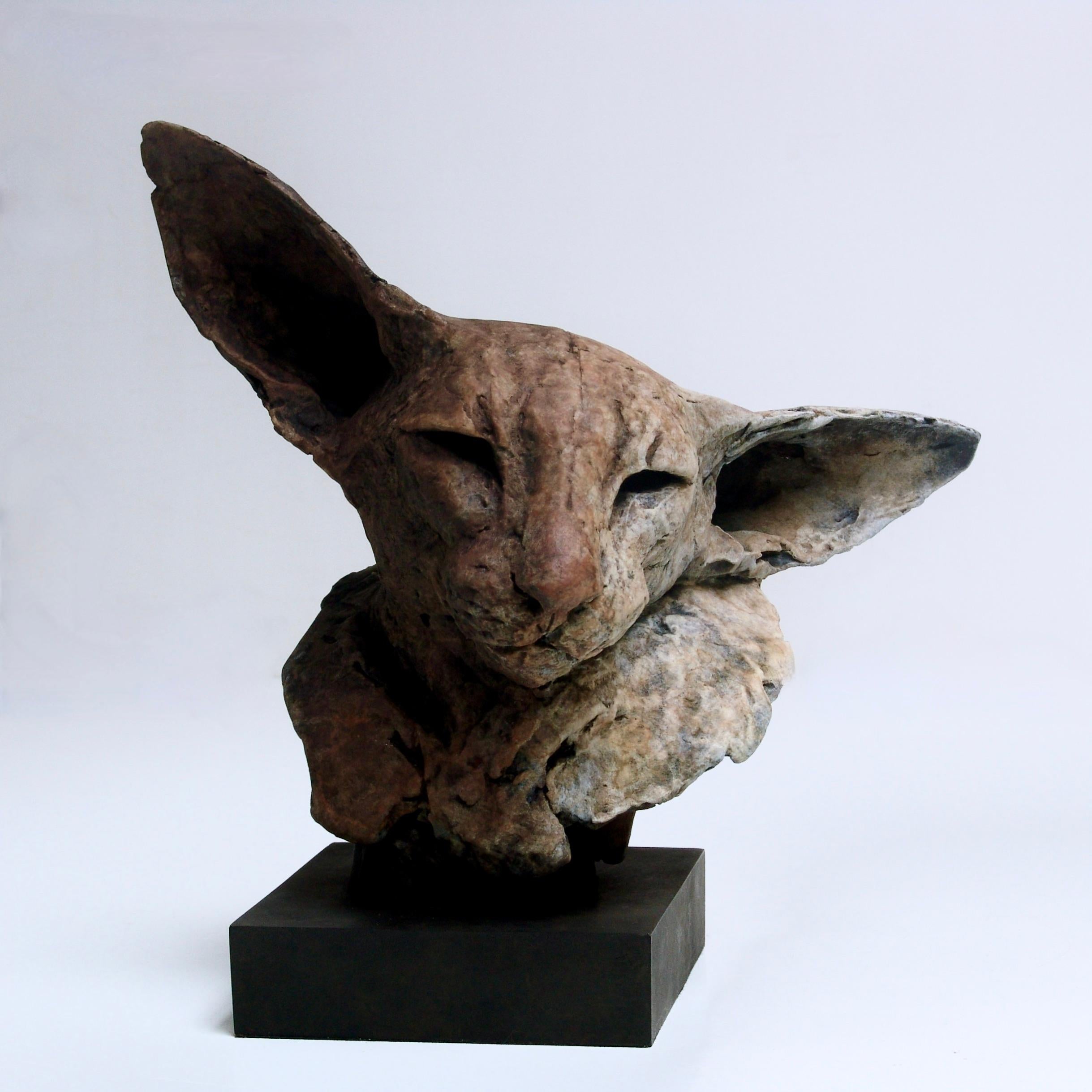 Nichola Theakston Figurative Sculpture - ''Bastet Study 2'', Contemporary Bronze Sculpture Portrait of a Bastet, Cat