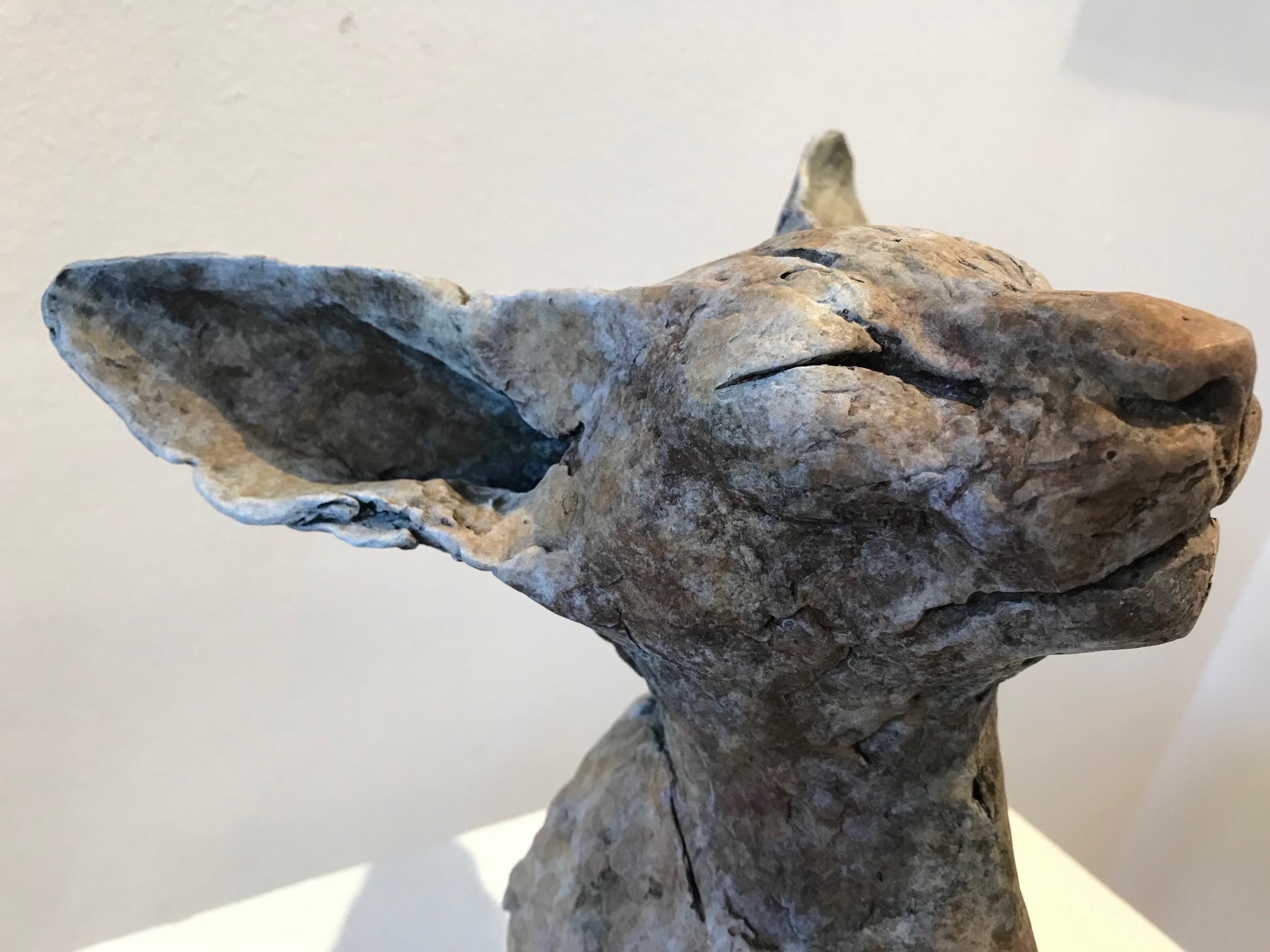 ''Bastet Study 3'', Contemporary Bronze Sculpture Portrait of a Bastet, Cat 2