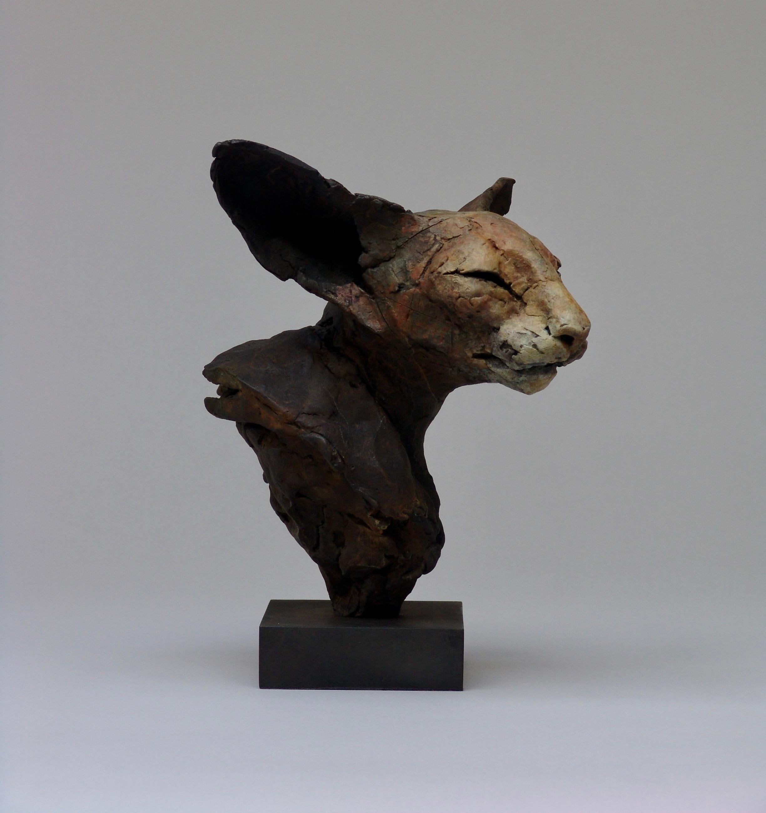''Bastet Study 4'', Contemporary Bronze Sculpture Portrait of a Bastet, Cat 1