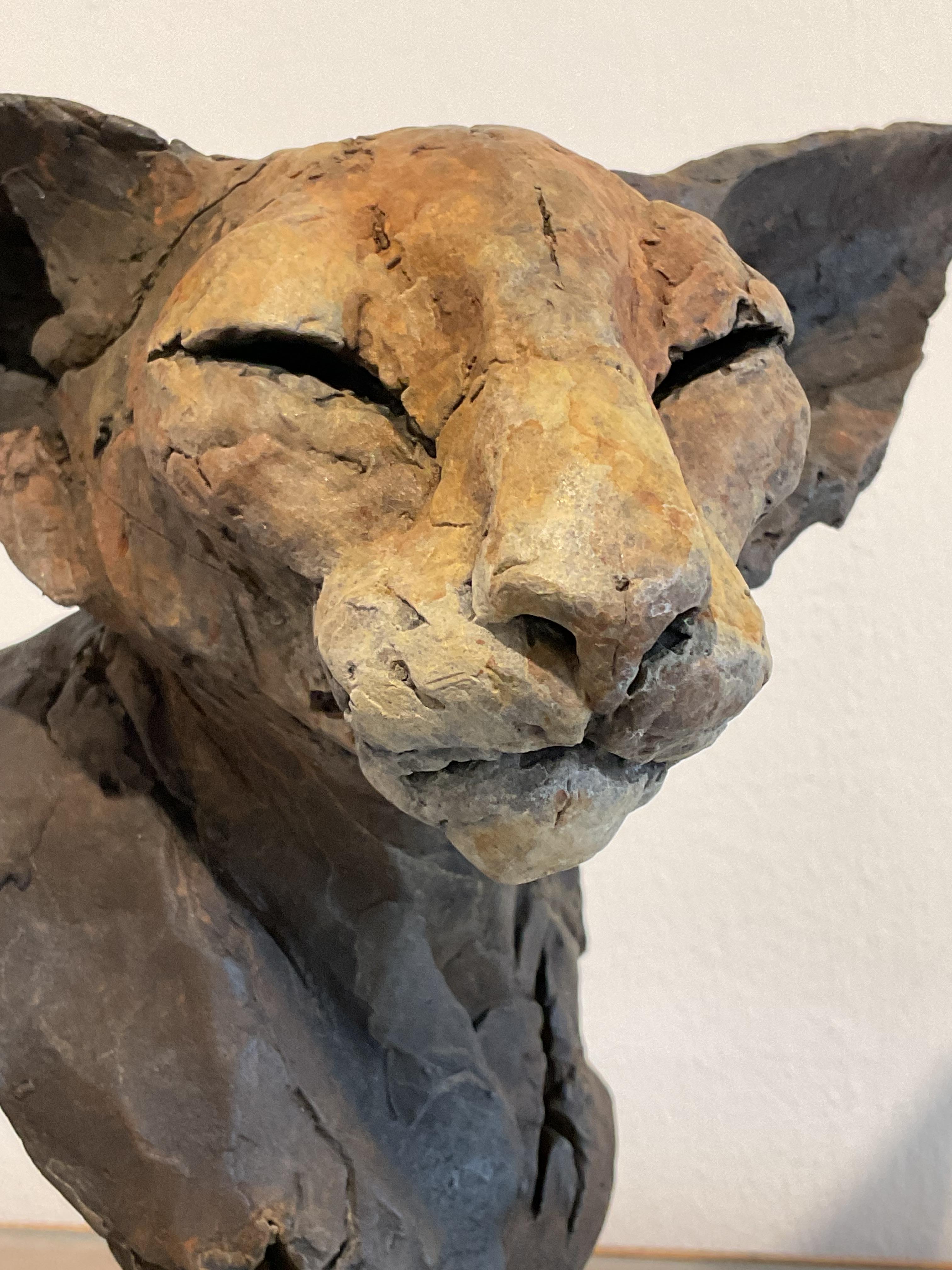 ''Bastet Study 4'', Contemporary Bronze Sculpture Portrait of a Bastet, Cat 3