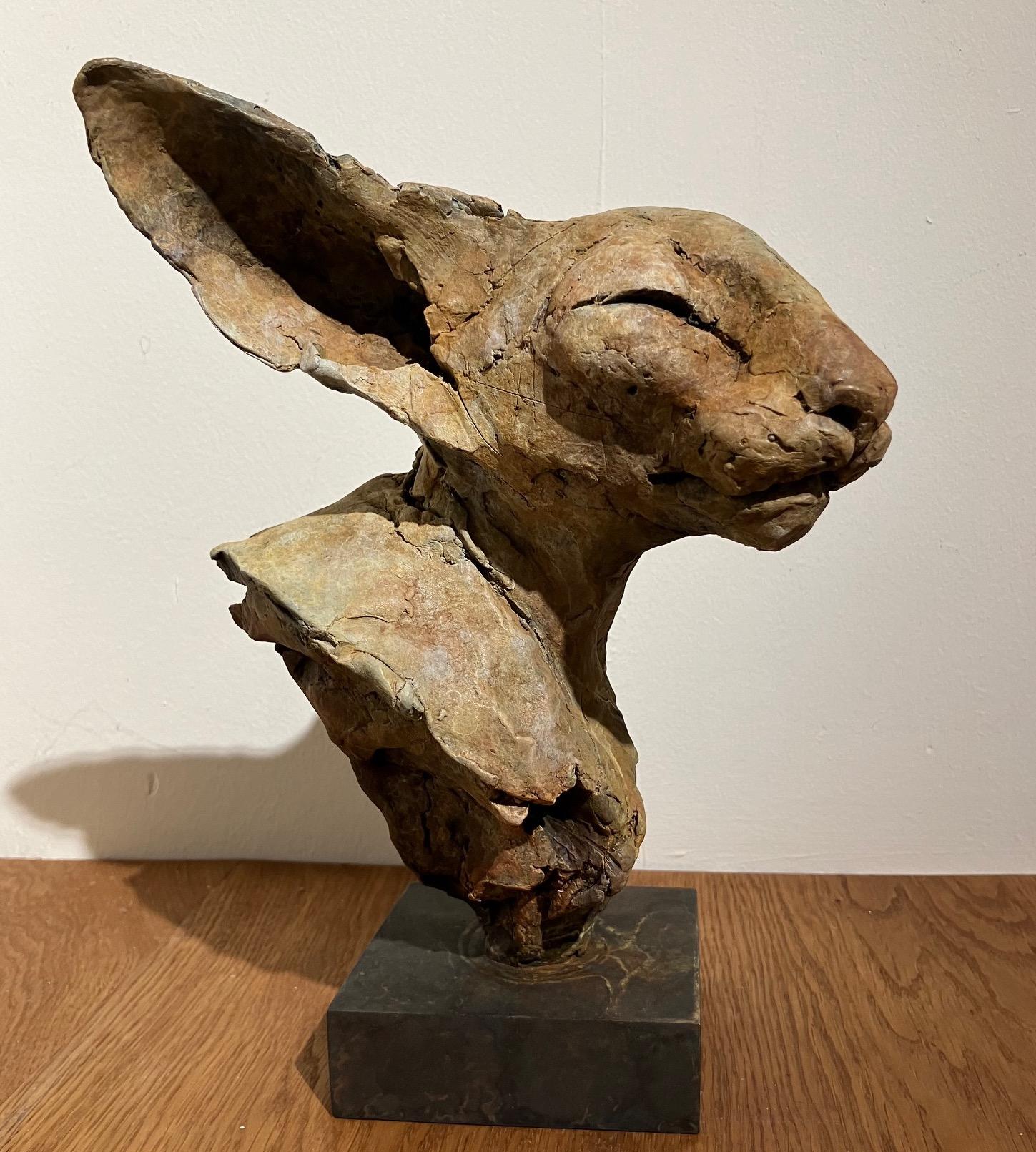Nichola Theakston (1967) has established herself as one of the UK’s foremost contemporary sculptors working within the animal genre. 

With the ''Bastet Study 4'' Nichola shows how exquisite she can capture the feelings and expressions in an animal.