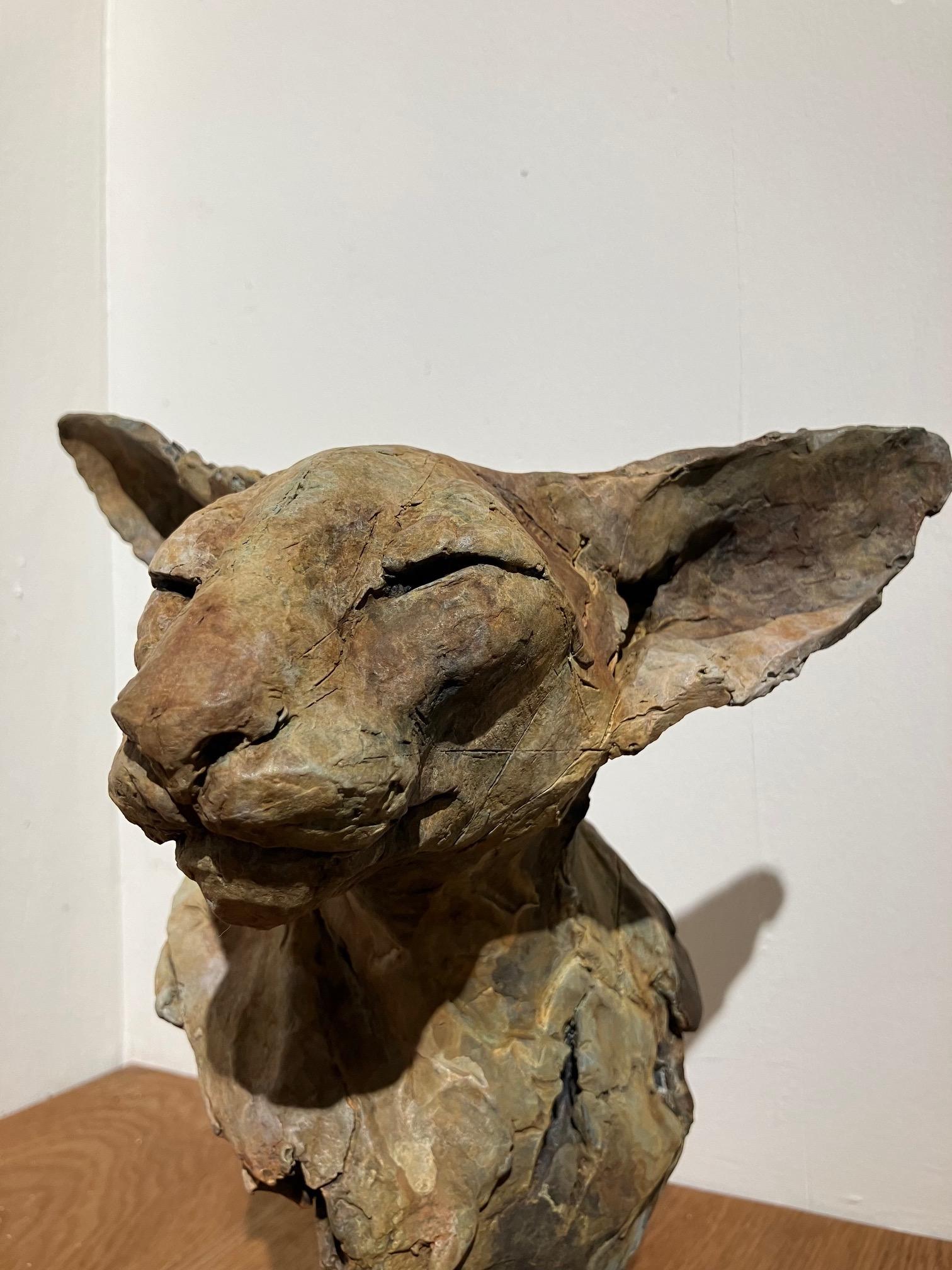 ''Bastet Study 4'', Contemporary Bronze Sculpture Portrait of a Bastet, Cat 3