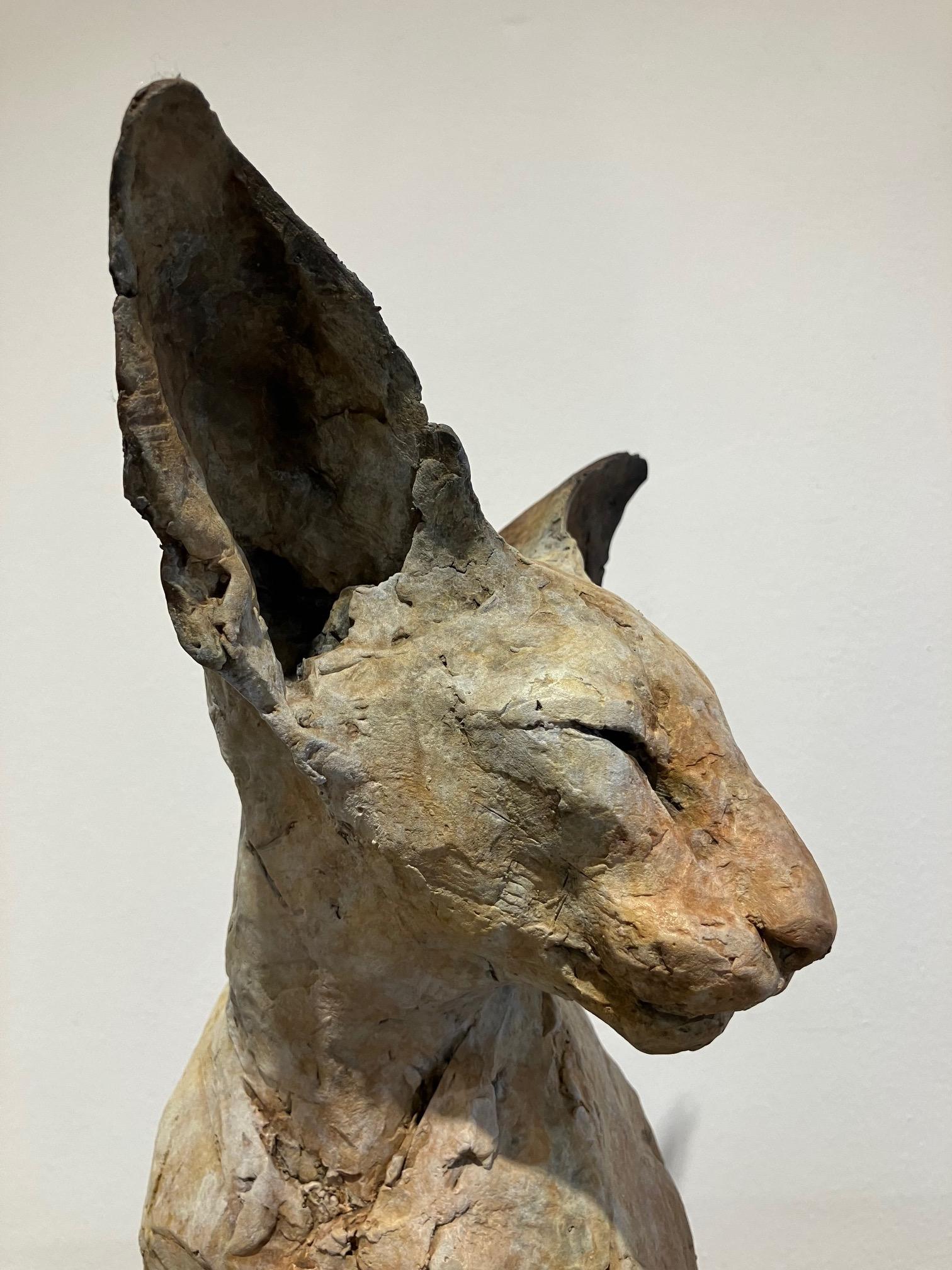 ''Bastet Study 5'', Contemporary Bronze Sculpture Portrait of a Bastet, Cat 8