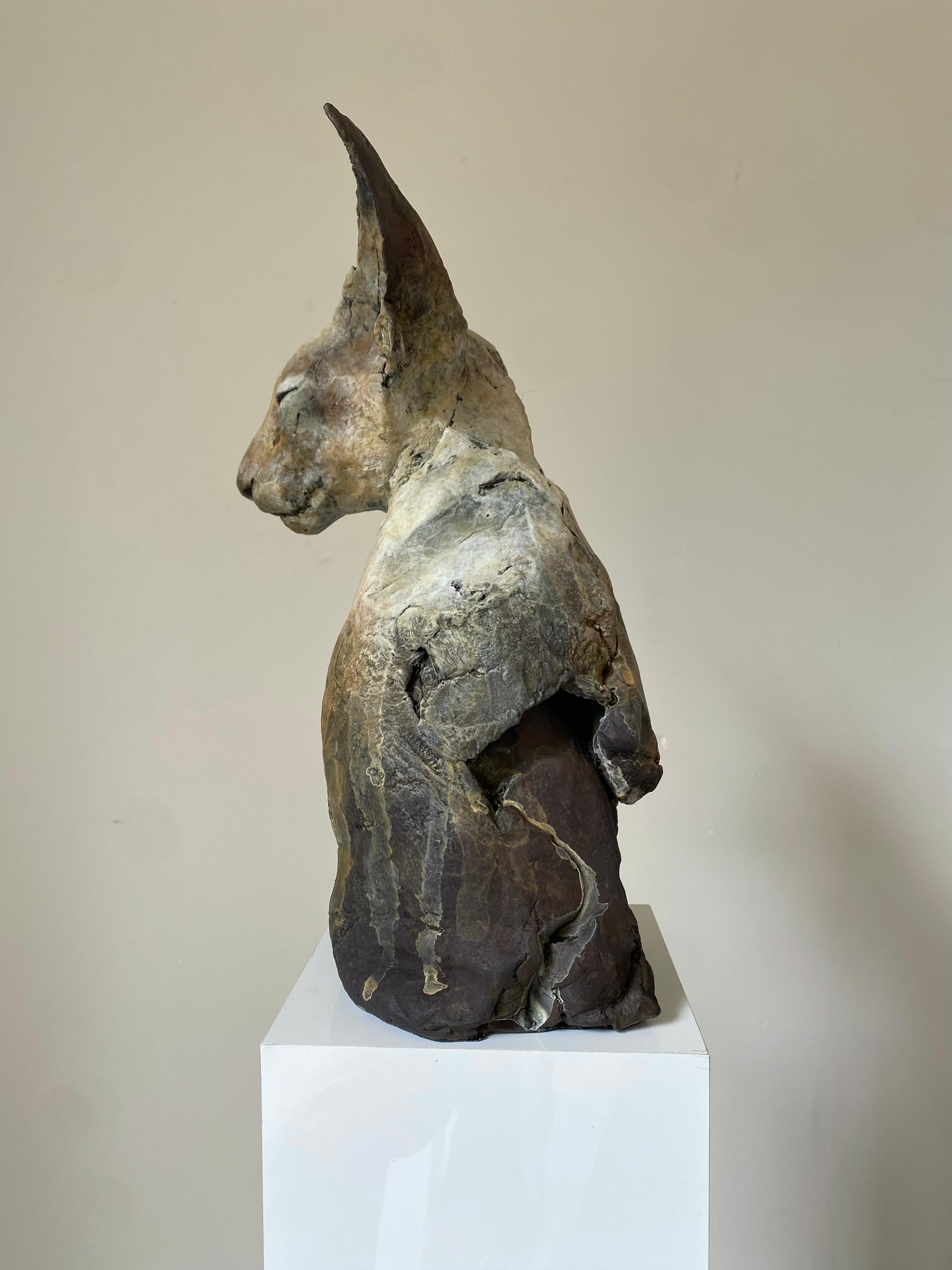 Nichola Theakston (1967) has established herself as one of the UK’s foremost contemporary sculptors working within the animal genre. 

With the ''Bastet Study 5'' Nichola shows how exquisite she can capture the feelings and expressions in an animal.