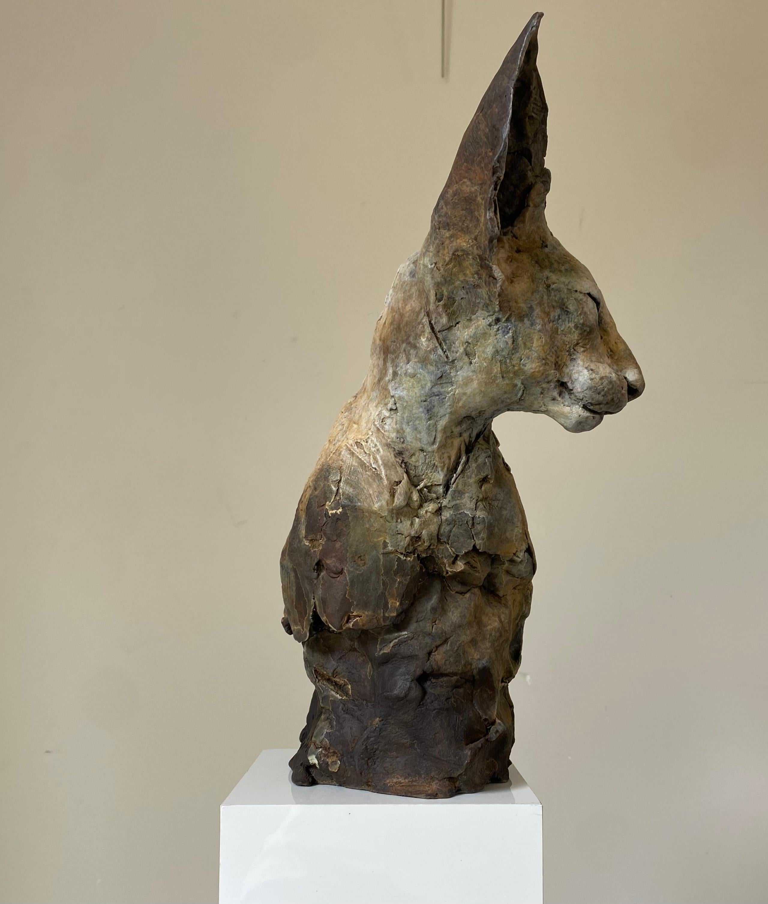 ''Bastet Study 5'', Contemporary Bronze Sculpture Portrait of a Bastet Cat 2
