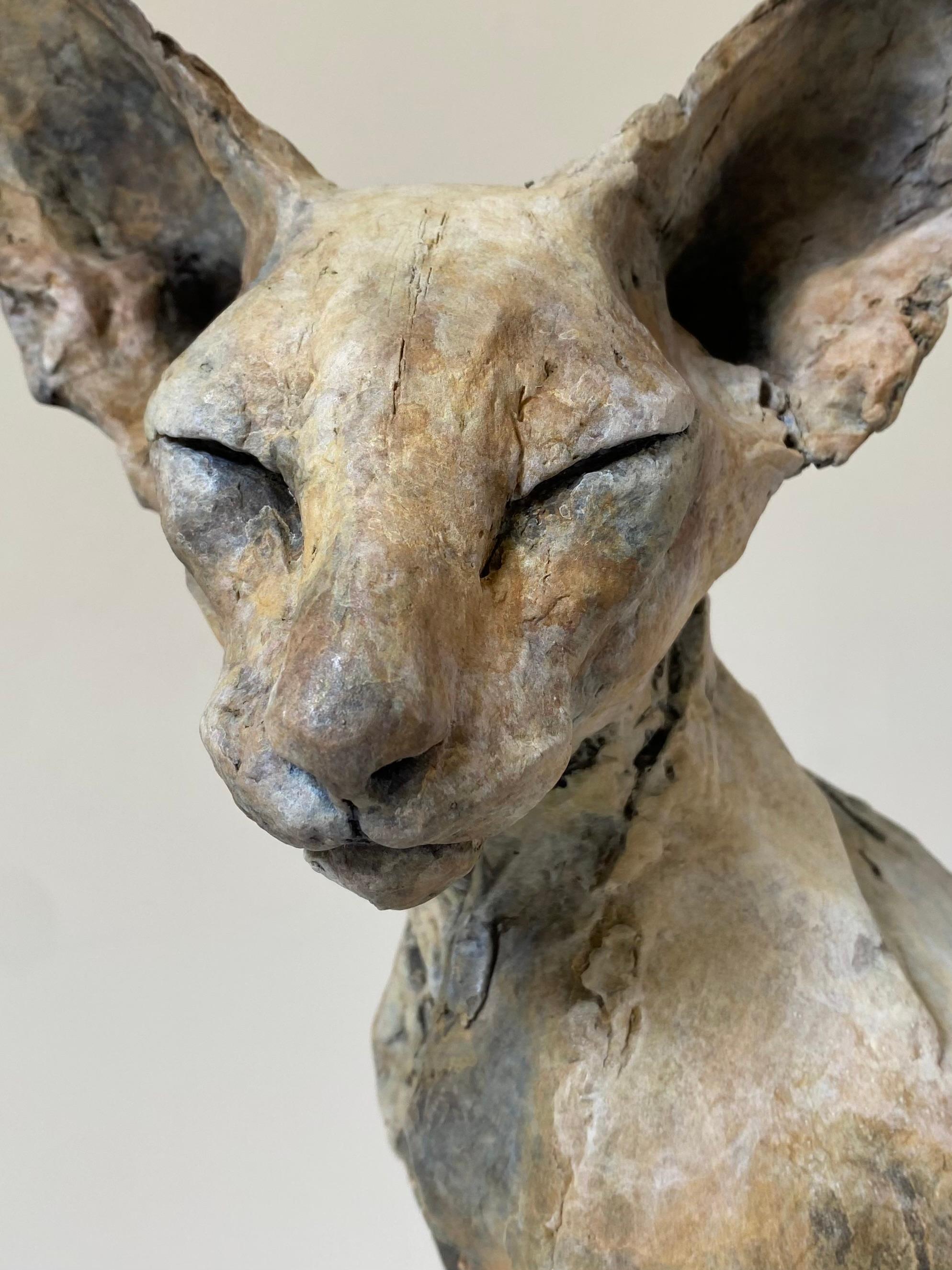 ''Bastet Study 5'', Contemporary Bronze Sculpture Portrait of a Bastet Cat 3