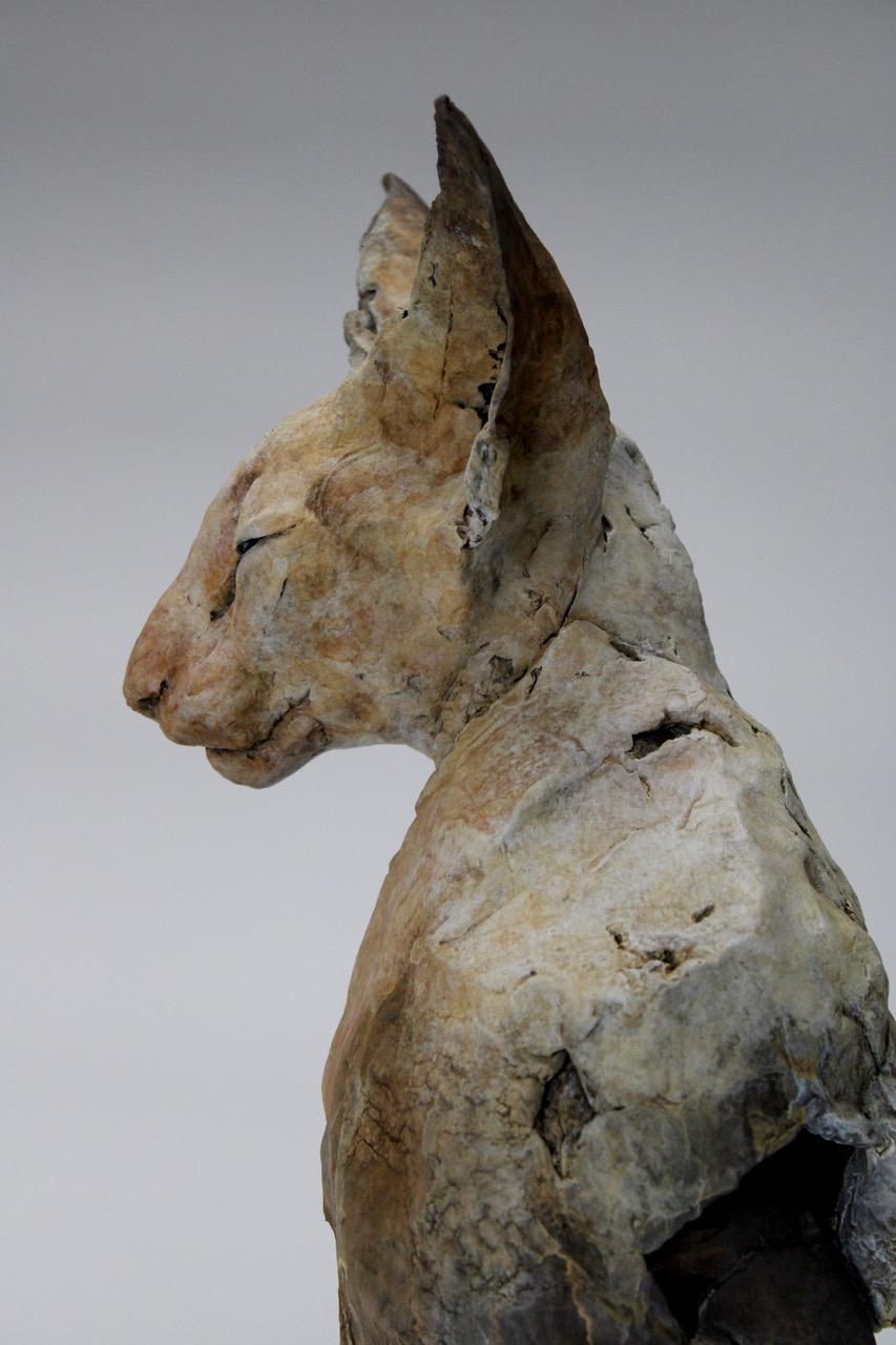 ''Bastet Study 5'', Contemporary Bronze Sculpture Portrait of a Bastet, Cat 4