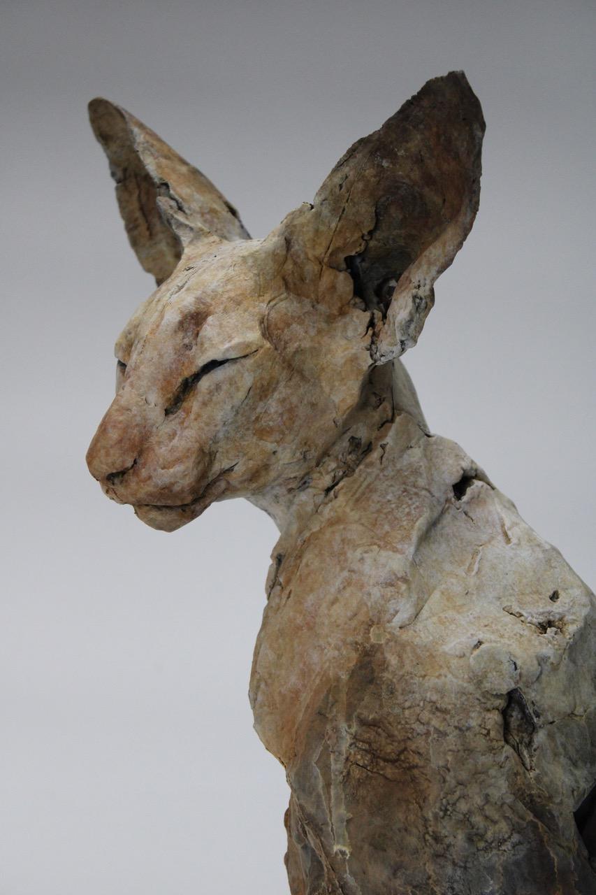 ''Bastet Study 5'', Contemporary Bronze Sculpture Portrait of a Bastet, Cat 5