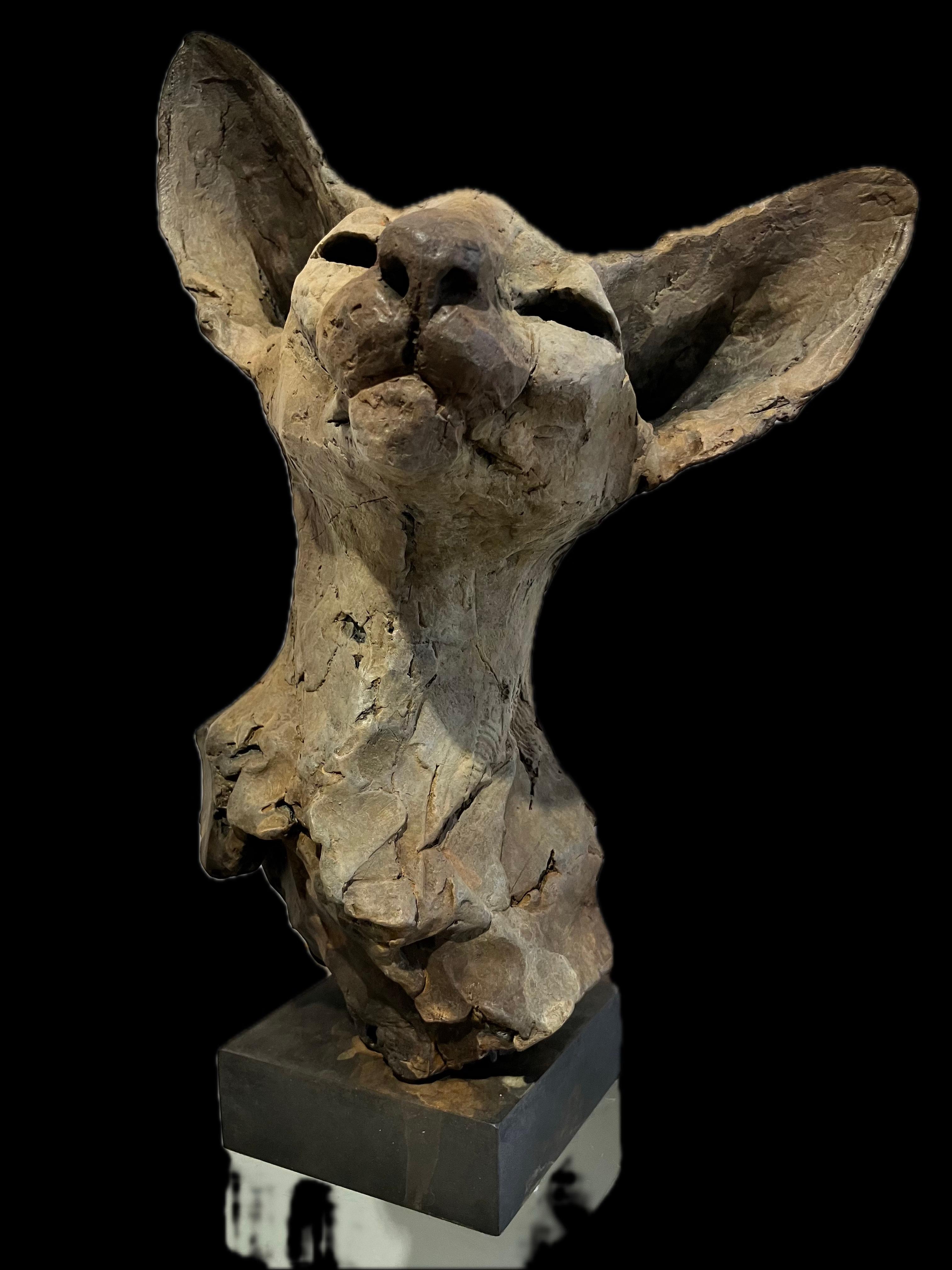 Nichola Theakston Figurative Sculpture - 

Bastet Study 6

, Contemporary Bronze Sculpture Portrait of a Bastet Cat