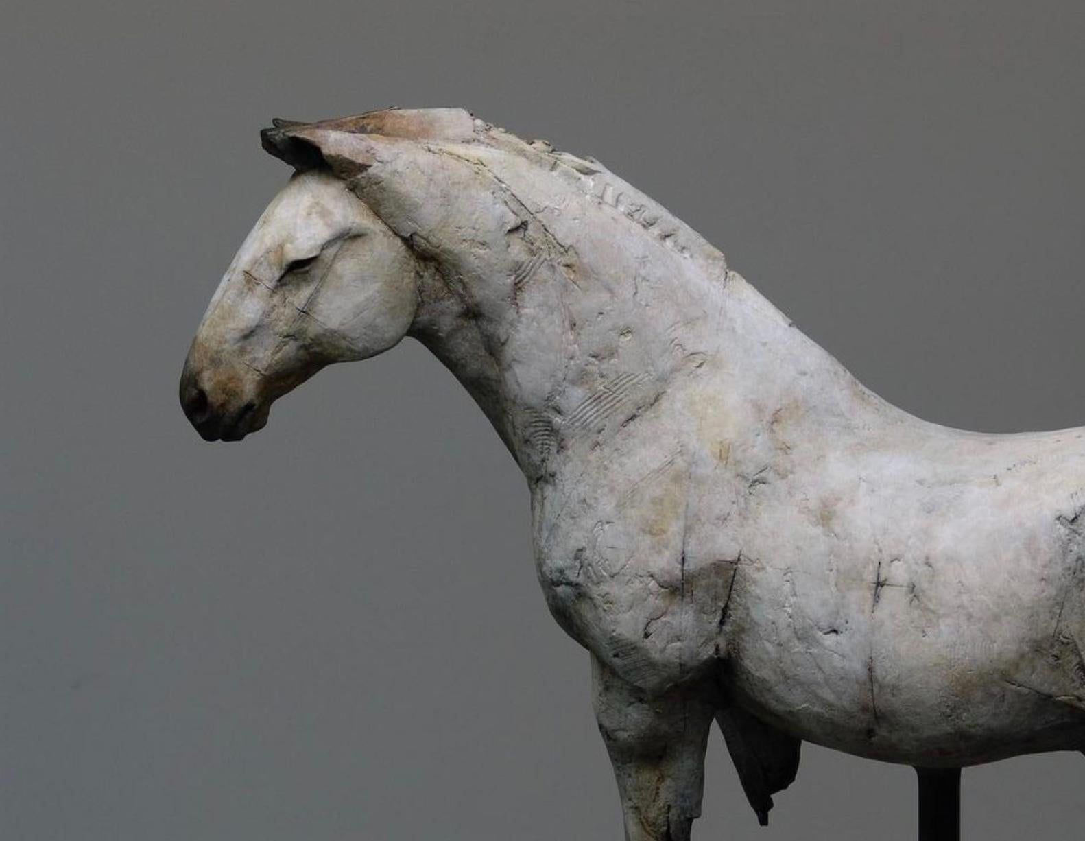 Nichola Theakston (1967) has established herself as one of the UK’s foremost contemporary sculptors working within the animal genre. 

With the ''Draught Horse'' Nichola shows how exquisite she can capture the feelings and expressions in an animal.