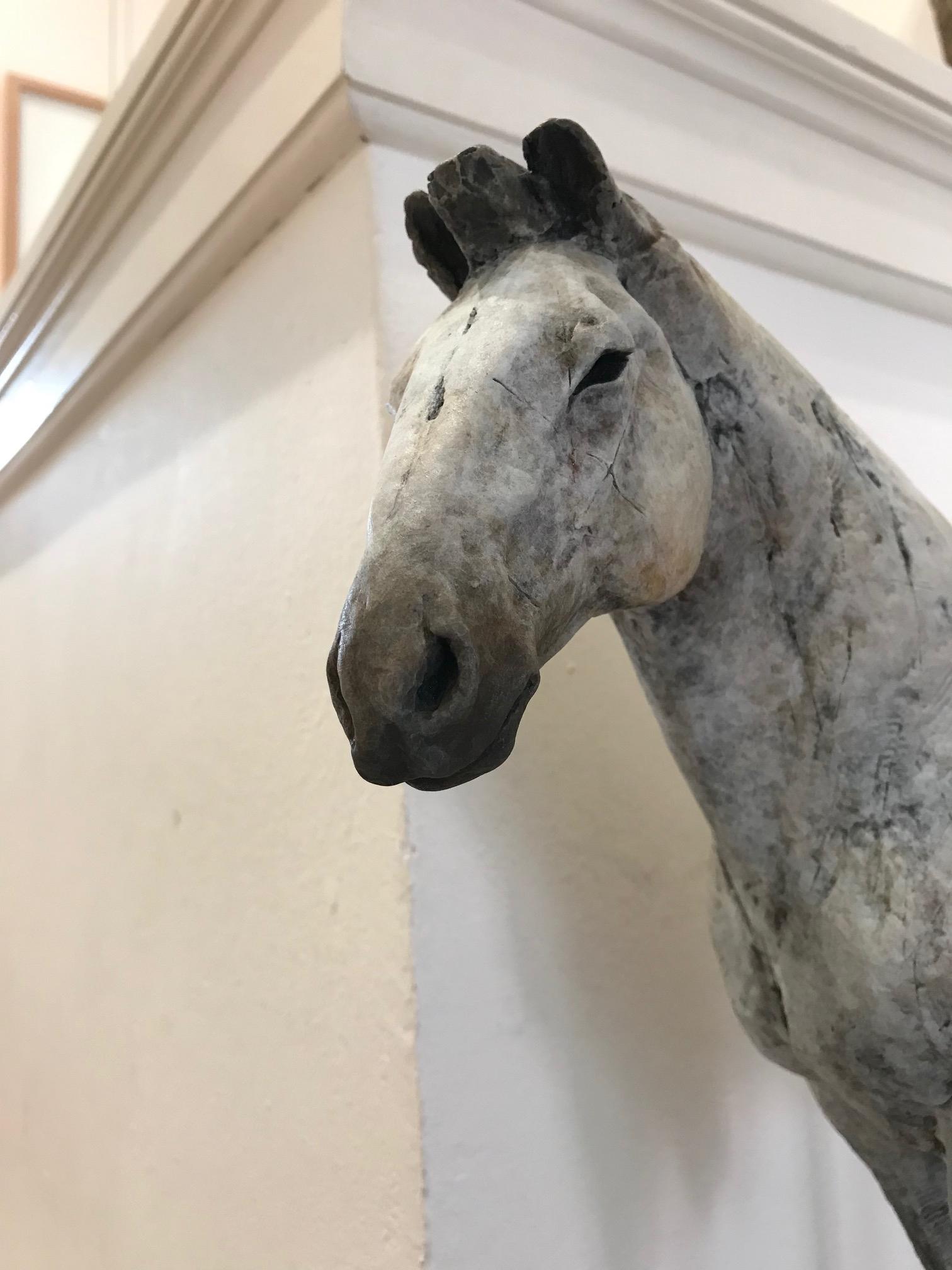 ''Draught Horse'', Contemporary Bronze Sculpture Portrait of a Brown Horse 2