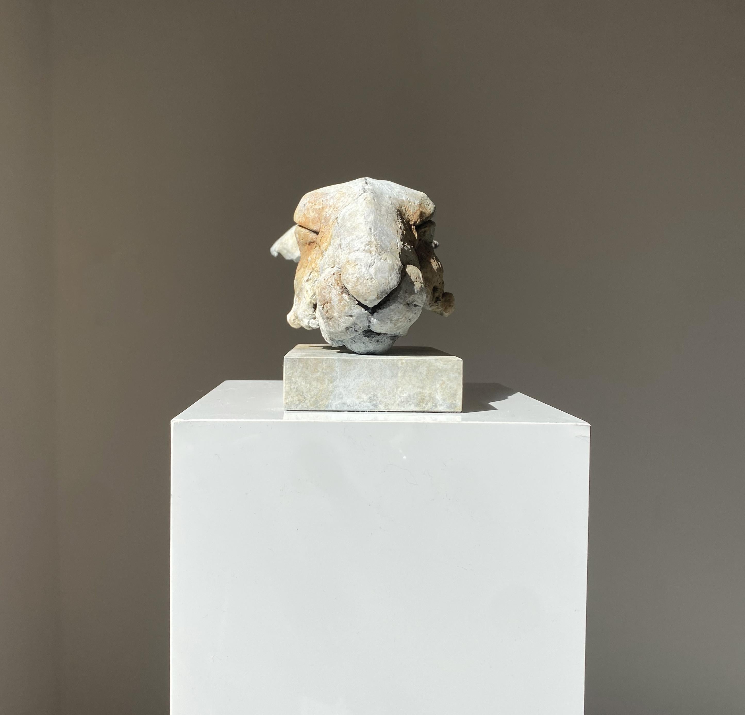 ''Liebre Elísea'', Escultura Contemporánea de Bronce Retrato de Liebre Beige y Gris - Sculpture Contemporáneo de Nichola Theakston