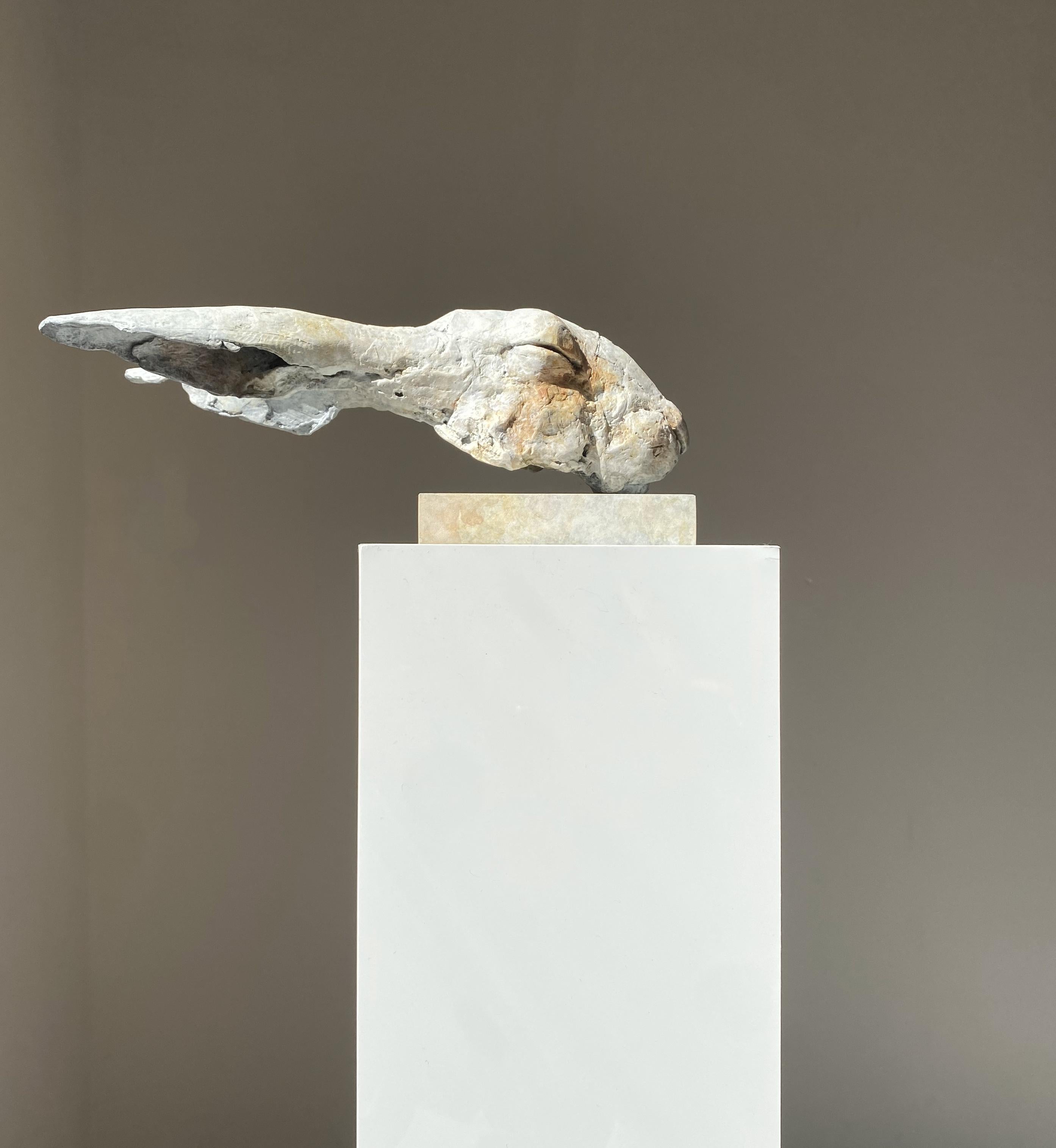Nichola Theakston (1967) se ha consolidado como una de las escultoras contemporáneas más destacadas del Reino Unido en el género animal. 

Con la ''Liebre Elísea'', Nichola demuestra lo exquisita que es captando los sentimientos y expresiones de un