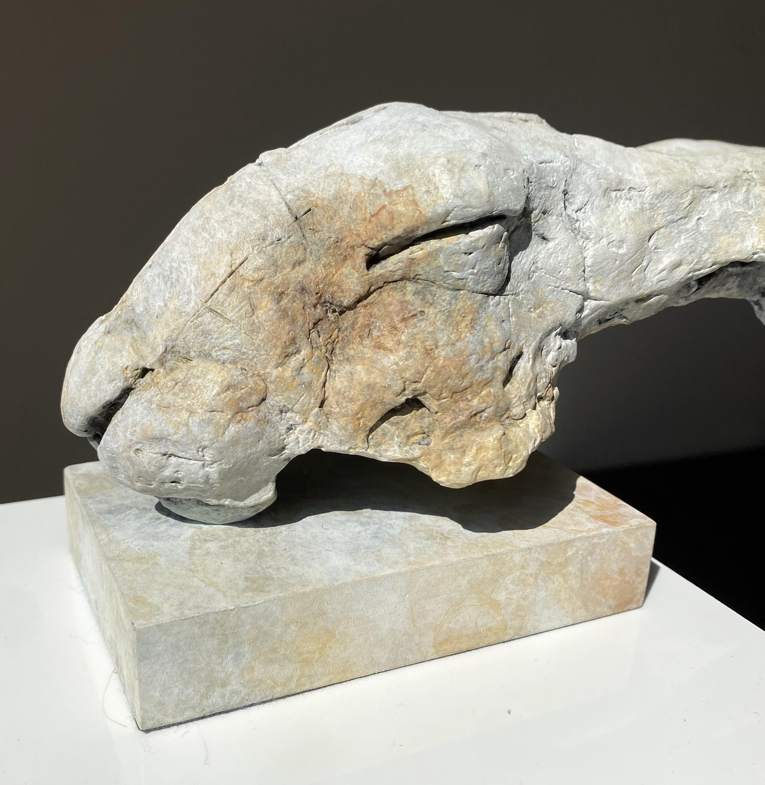 ''Liebre Elísea'', Escultura Contemporánea de Bronce Retrato de Liebre Beige y Gris 2