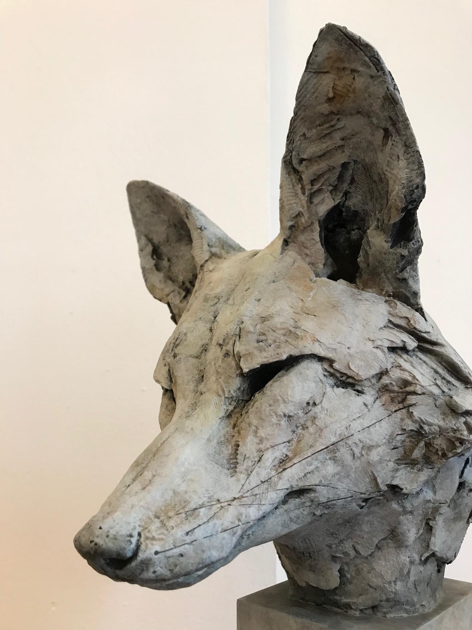 ''Fox Head Study'', Contemporary Bronze Sculpture Portrait of a Fox - Gold Figurative Sculpture by Nichola Theakston