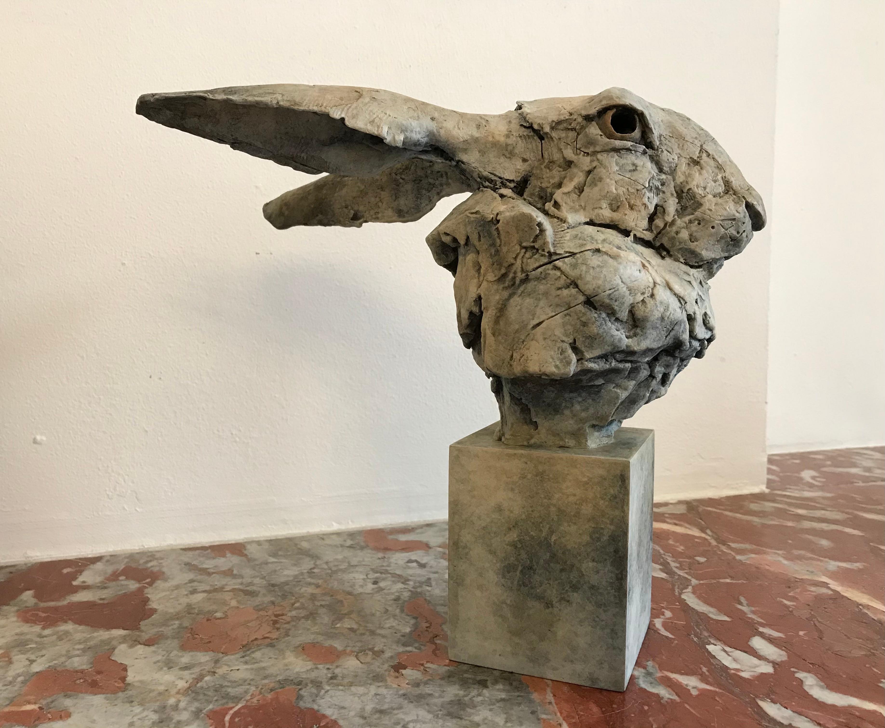 Nichola Theakston (1967) has established herself as one of the UK’s foremost contemporary sculptors working within the animal genre. 

With ''Hare Head Study 2'', Nichola shows how exquisite she can capture the feelings and expressions in an animal.