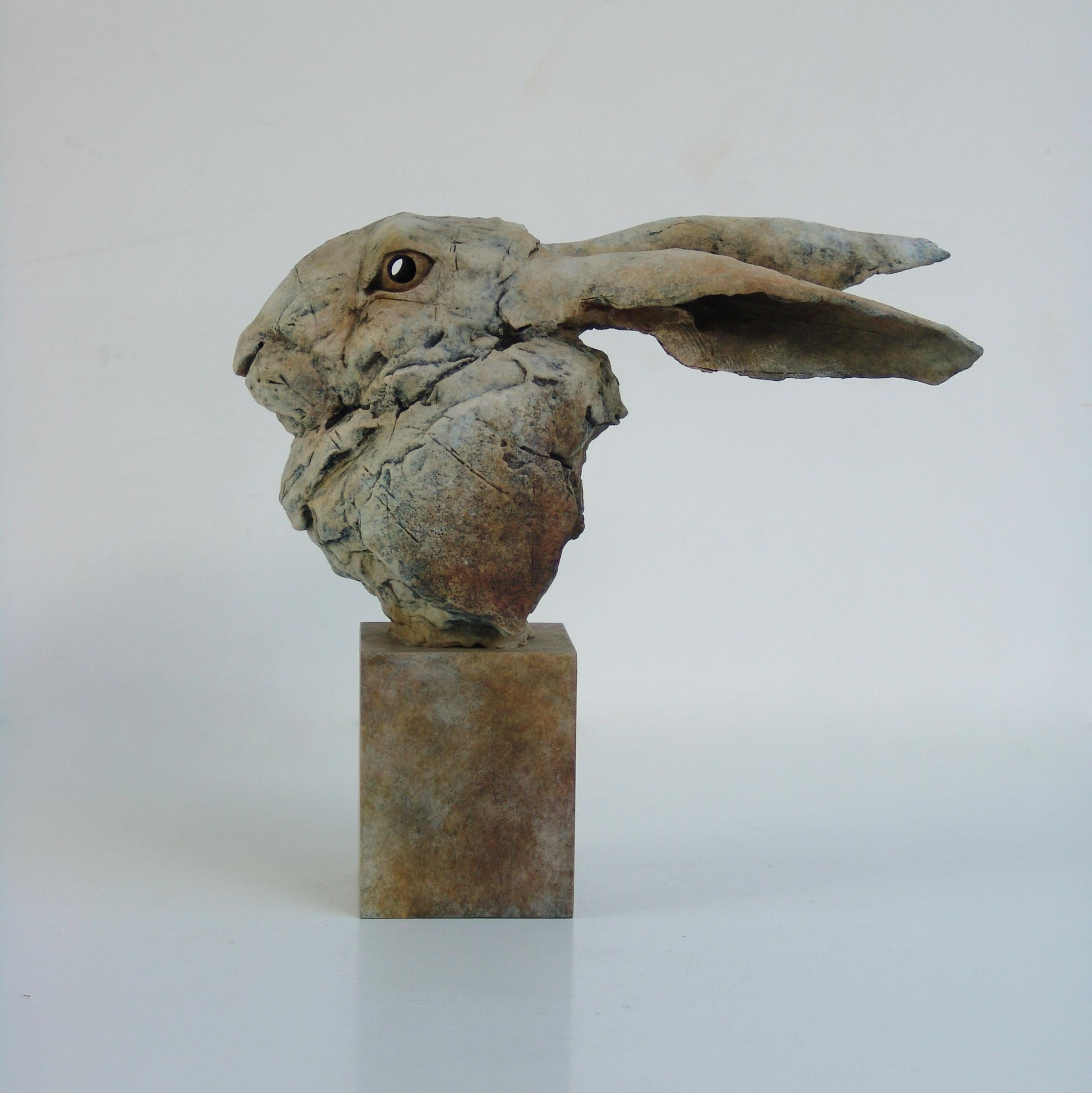 Nichola Theakston Figurative Sculpture - ''Hare Head Study 2'', Contemporary Bronze Sculpture Portrait of a Hare