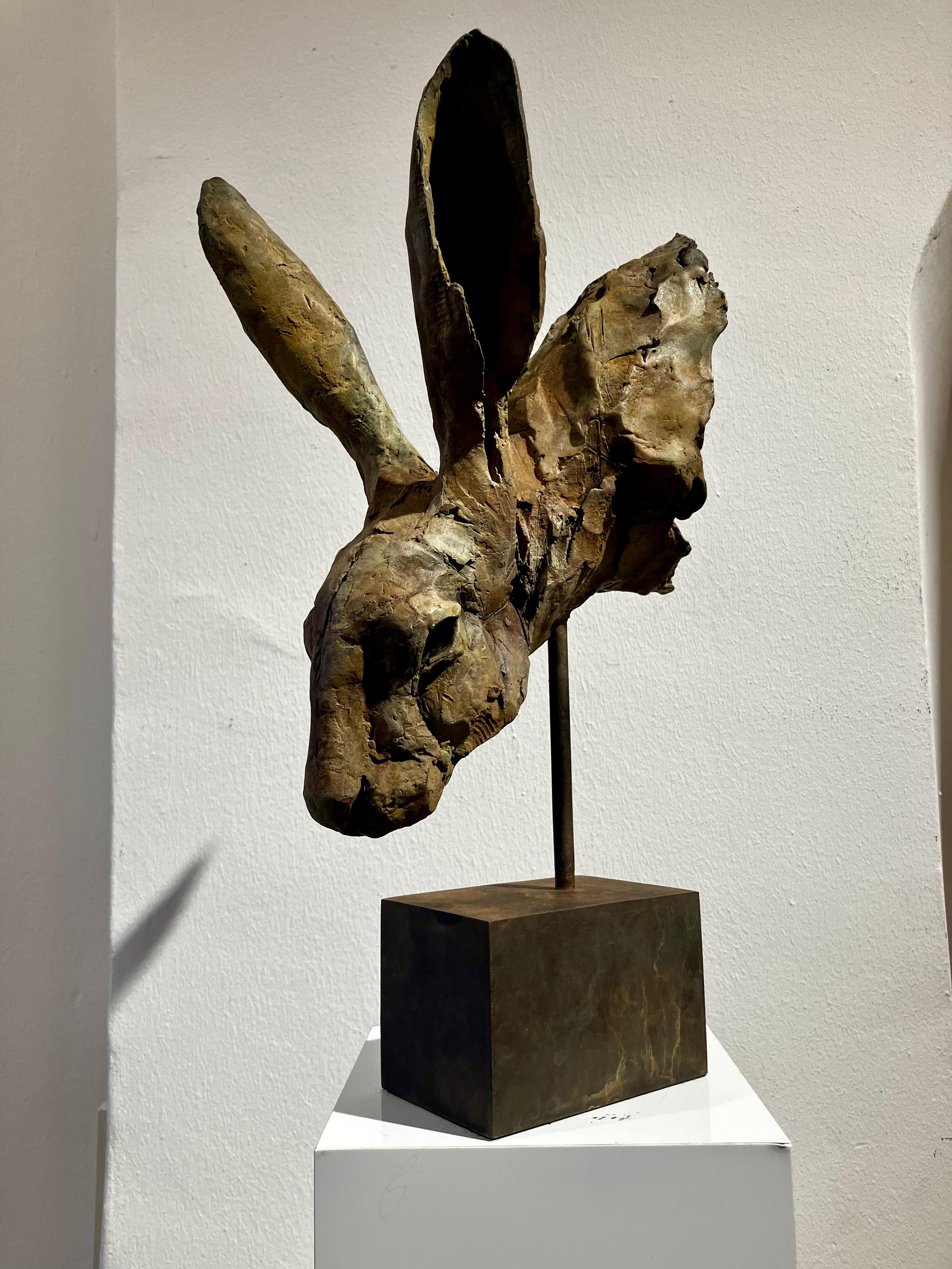 Nichola Theakston (1967) has established herself as one of the UK’s foremost contemporary sculptors working within the animal genre.  

With the ''Hare Head Study 3'' Nichola shows how exquisite she can capture the feelings and expressions in an