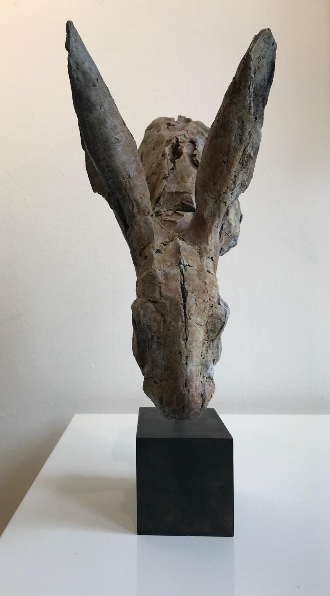 Nichola Theakston (1967) has established herself as one of the UK’s foremost contemporary sculptors working within the animal genre. 

With the ''Hare Head Study 3'' Nichola shows how exquisite she can capture the feelings and expressions in an