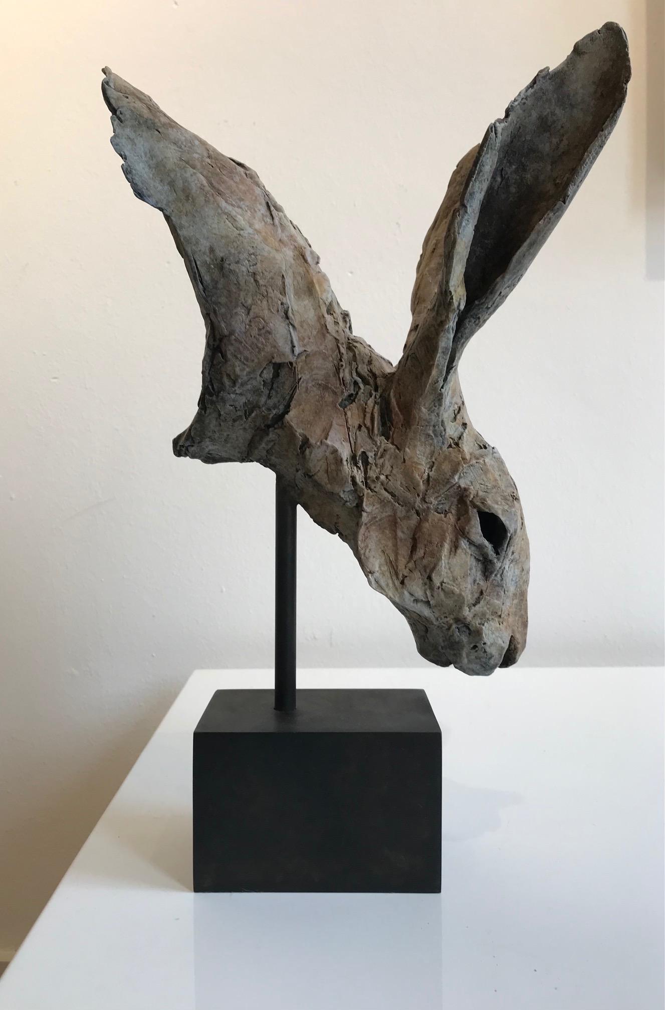 ''Hare Head Study 3'', Contemporary Bronze Sculpture Portrait of a Hare 1