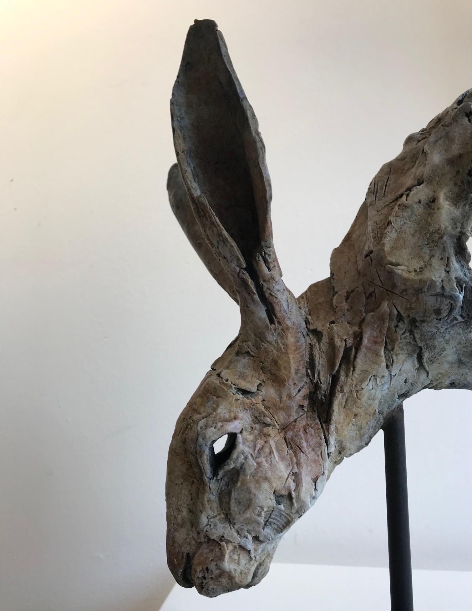 ''Hare Head Study 3'', Contemporary Bronze Sculpture Portrait of a Hare 2