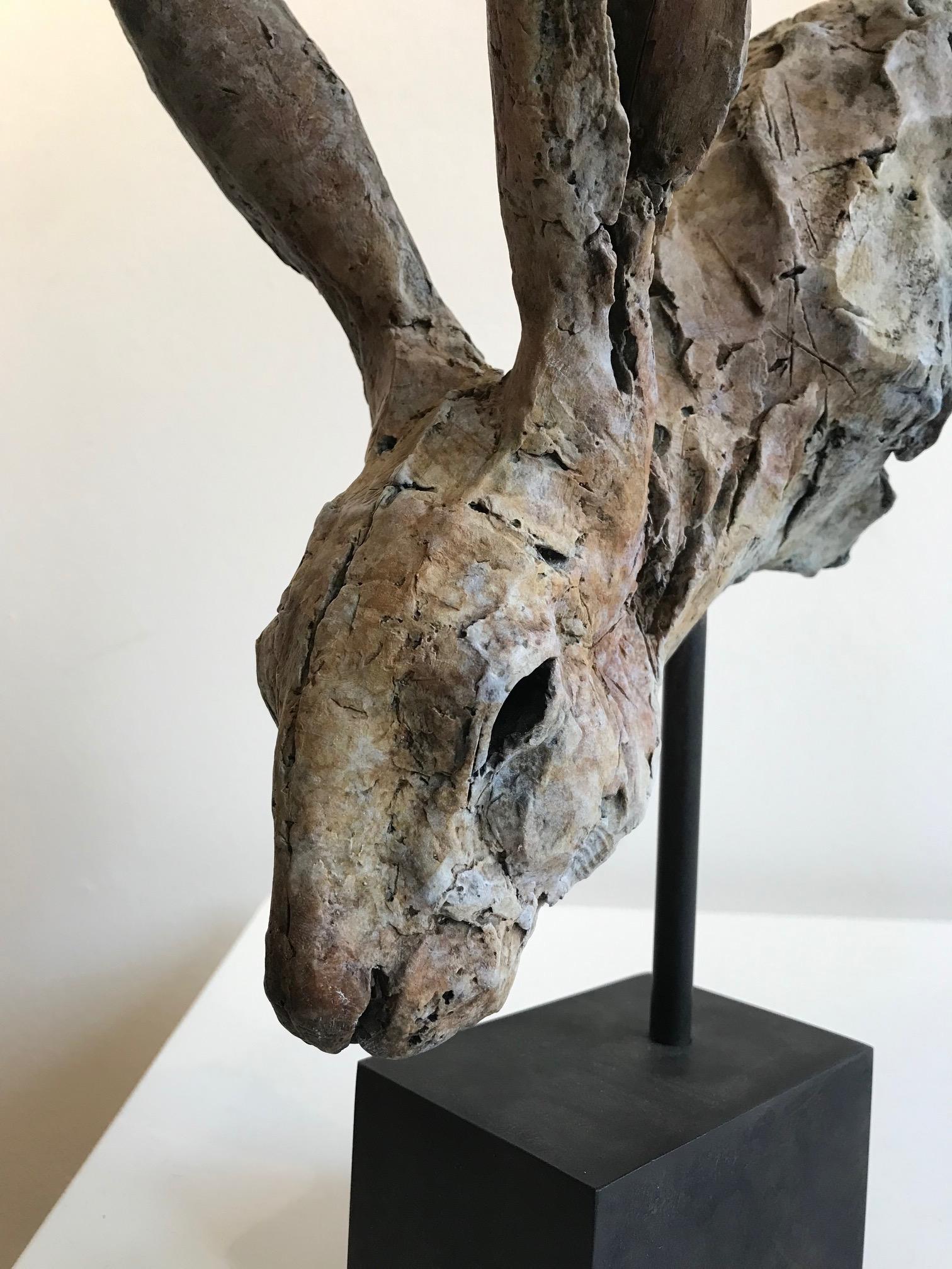 ''Hare Head Study 3'', Contemporary Bronze Sculpture Portrait of a Hare 3