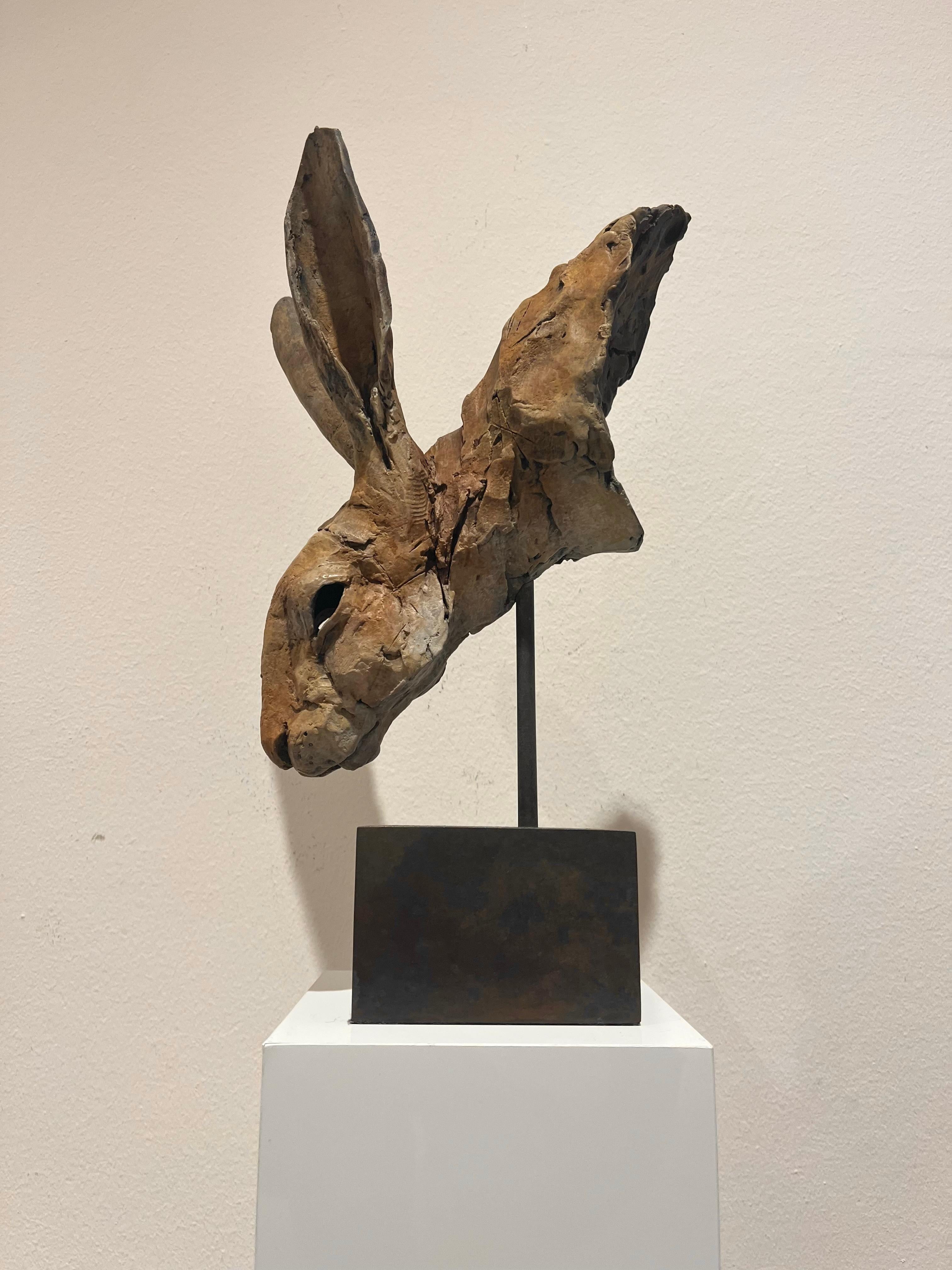 Nichola Theakston (1967) has established herself as one of the UK’s foremost contemporary sculptors working within the animal genre.  

With the ''Hare Head Study 3'' Nichola shows how exquisite she can capture the feelings and expressions in an
