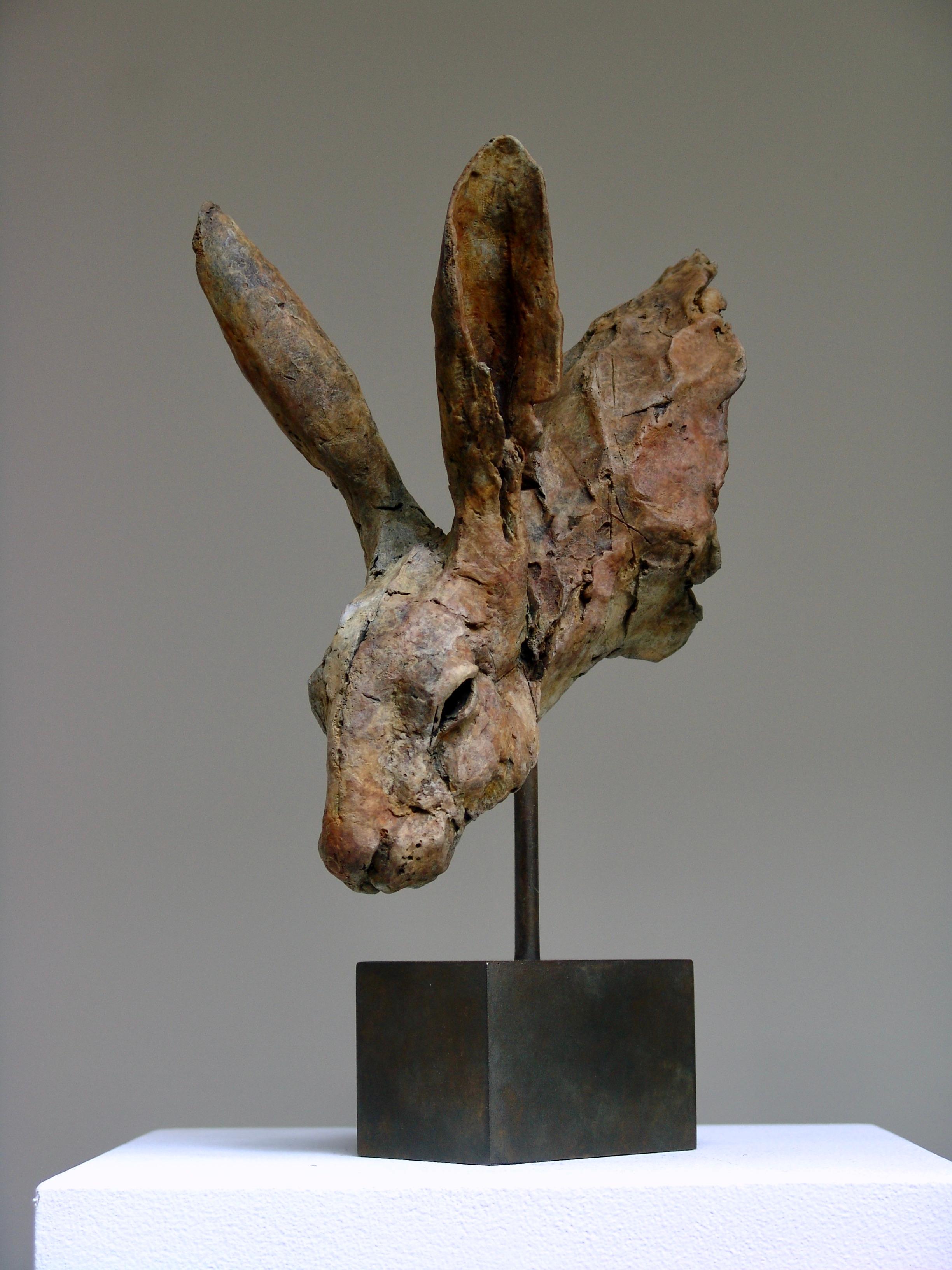 Nichola Theakston Figurative Sculpture - "Hare Head Study 3" Contemporary Bronze Sculpture of a Hare