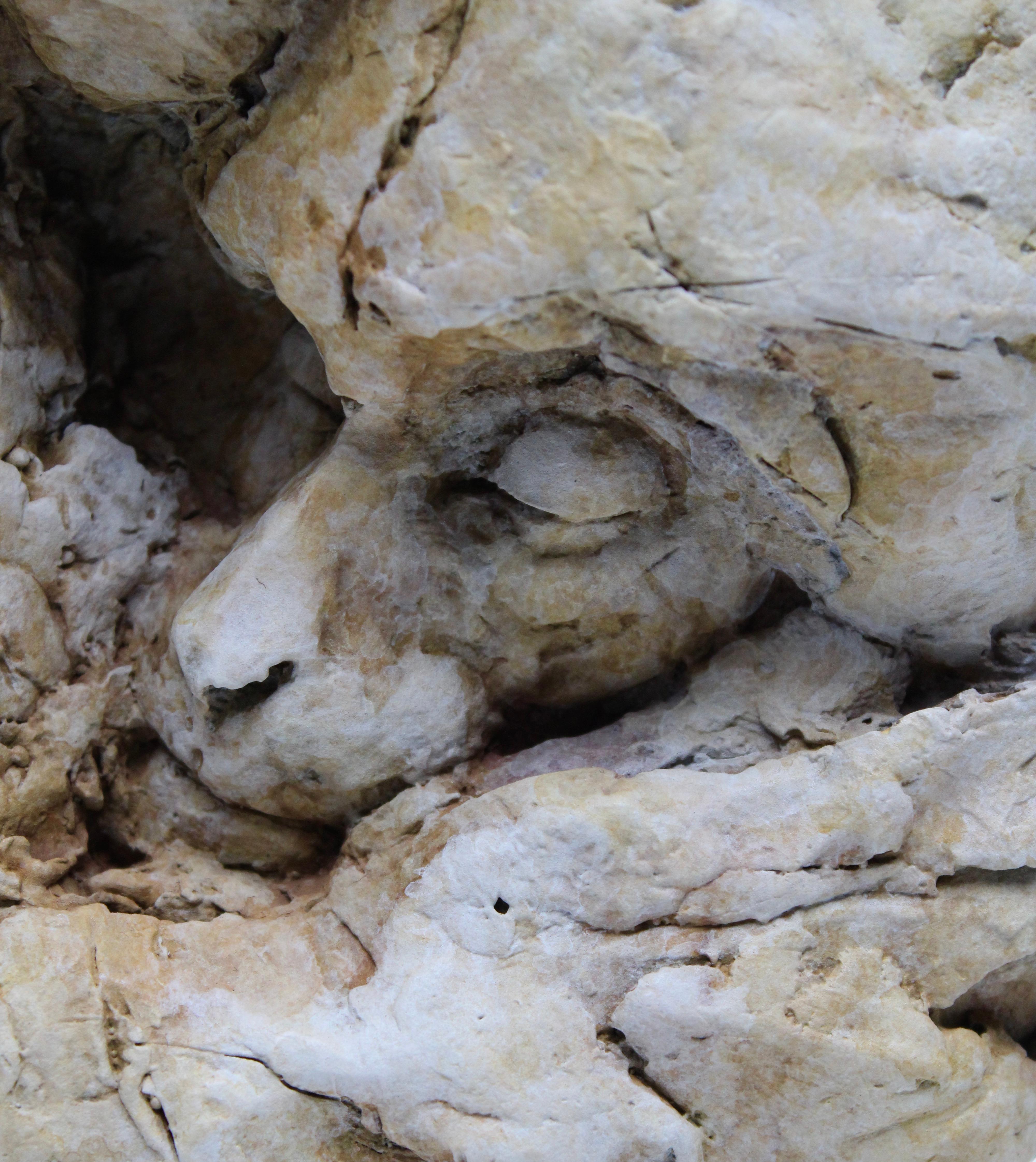 Nichola Theakston (1967) has established herself as one of the UK’s foremost contemporary sculptors working within the animal genre. 

Primates are Nichola's favorite subject. In her words: 'The notion that an individual creature may experience some
