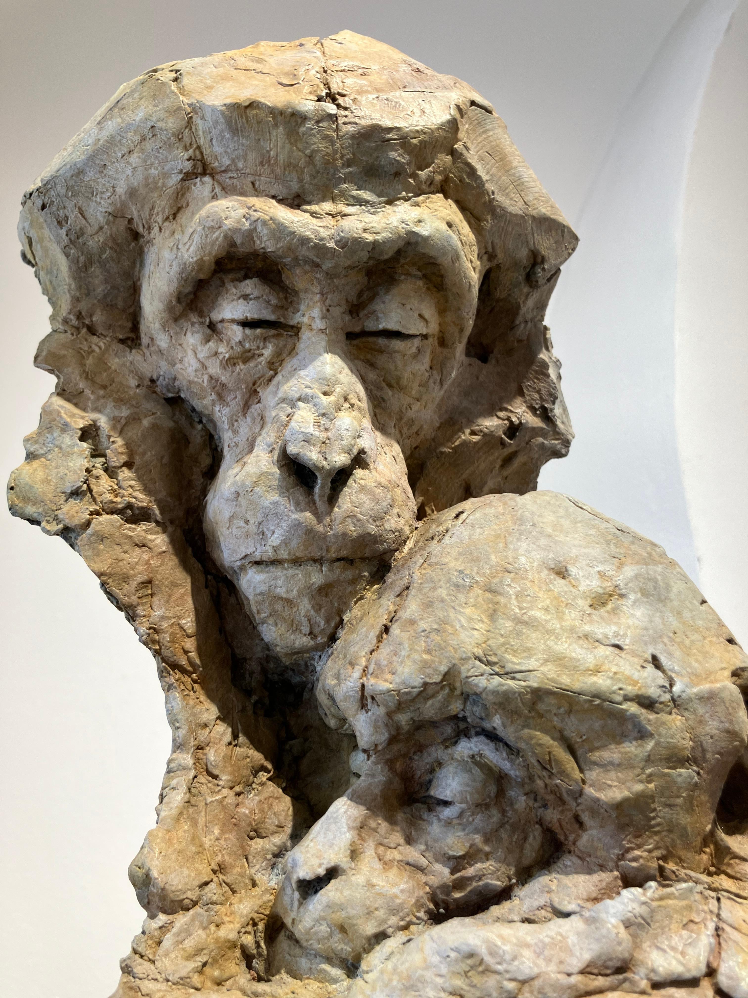 Nichola Theakston (1967) has established herself as one of the UK’s foremost contemporary sculptors working within the animal genre. 

Primates are Nichola's favorite subject. In her words: 'The notion that an individual creature may experience some