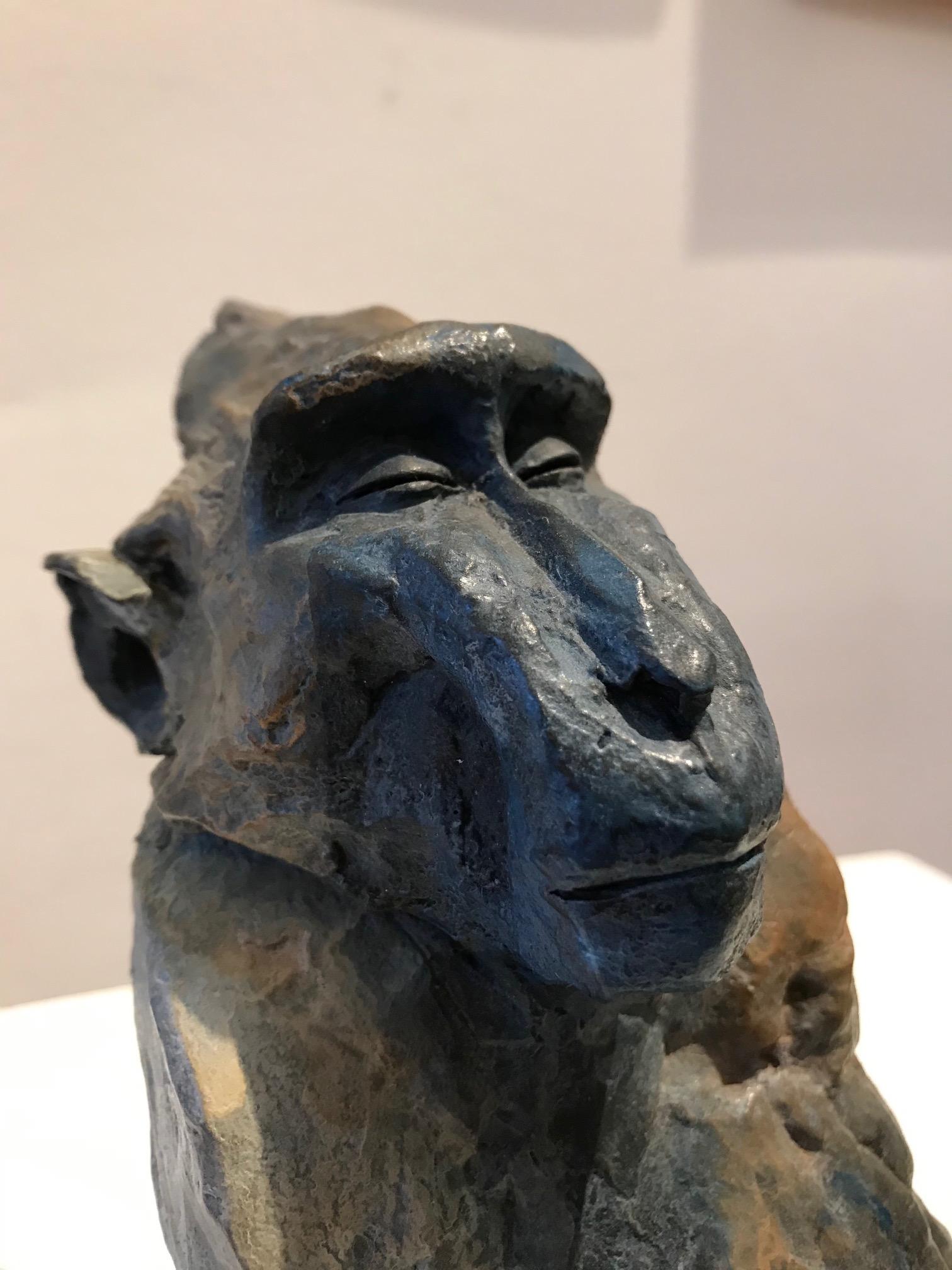 ''Monkey Sketch 3'', Contemporary Bronze Sculpture of a Primate, Monkey - Gold Figurative Sculpture by Nichola Theakston