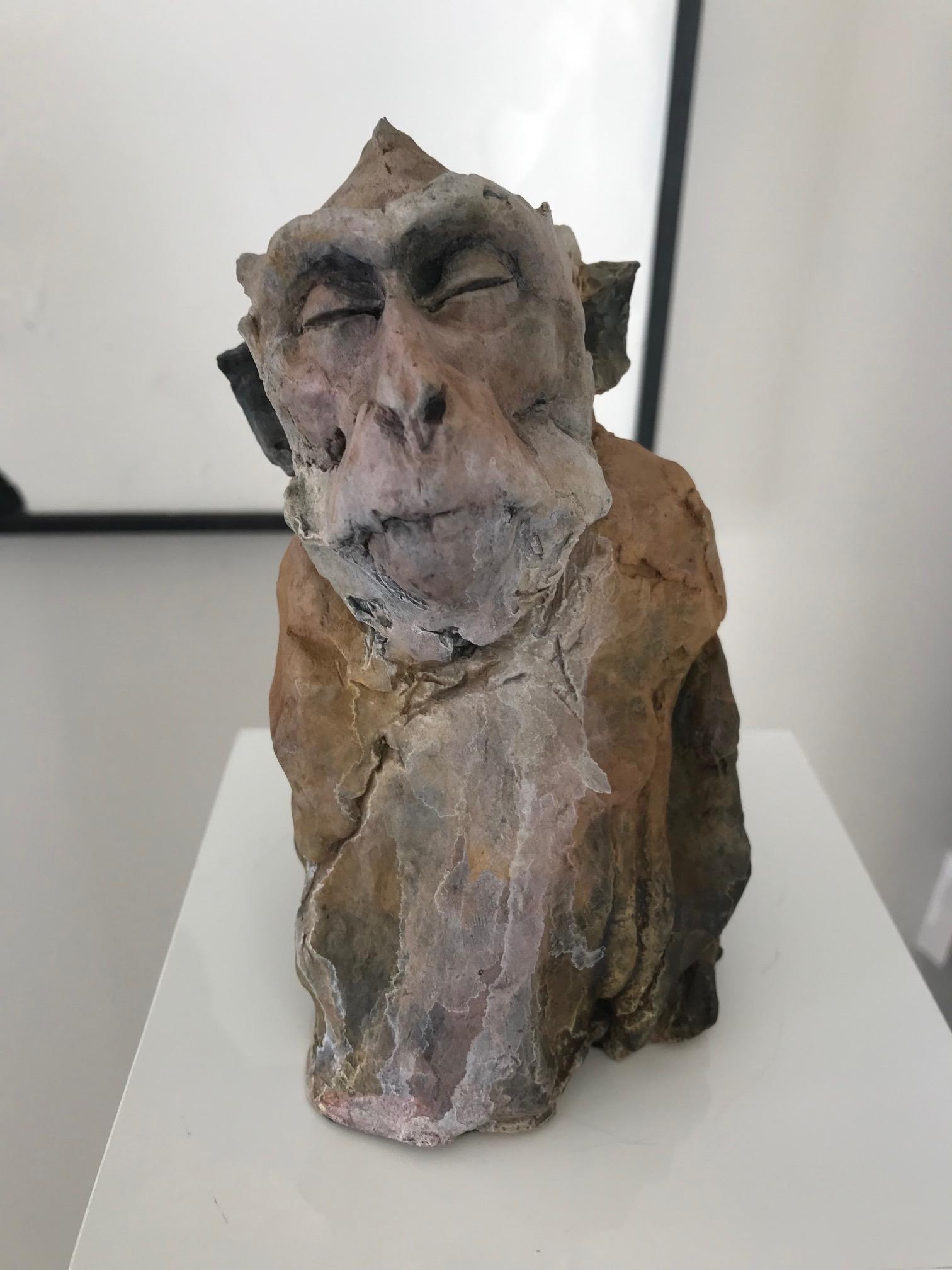 Nichola Theakston (1967) has established herself as one of the UK’s foremost contemporary sculptors working within the animal genre. 

With the ''Monkey Sketch 4'' Nichola shows how exquisite she can capture the feelings and expressions in an