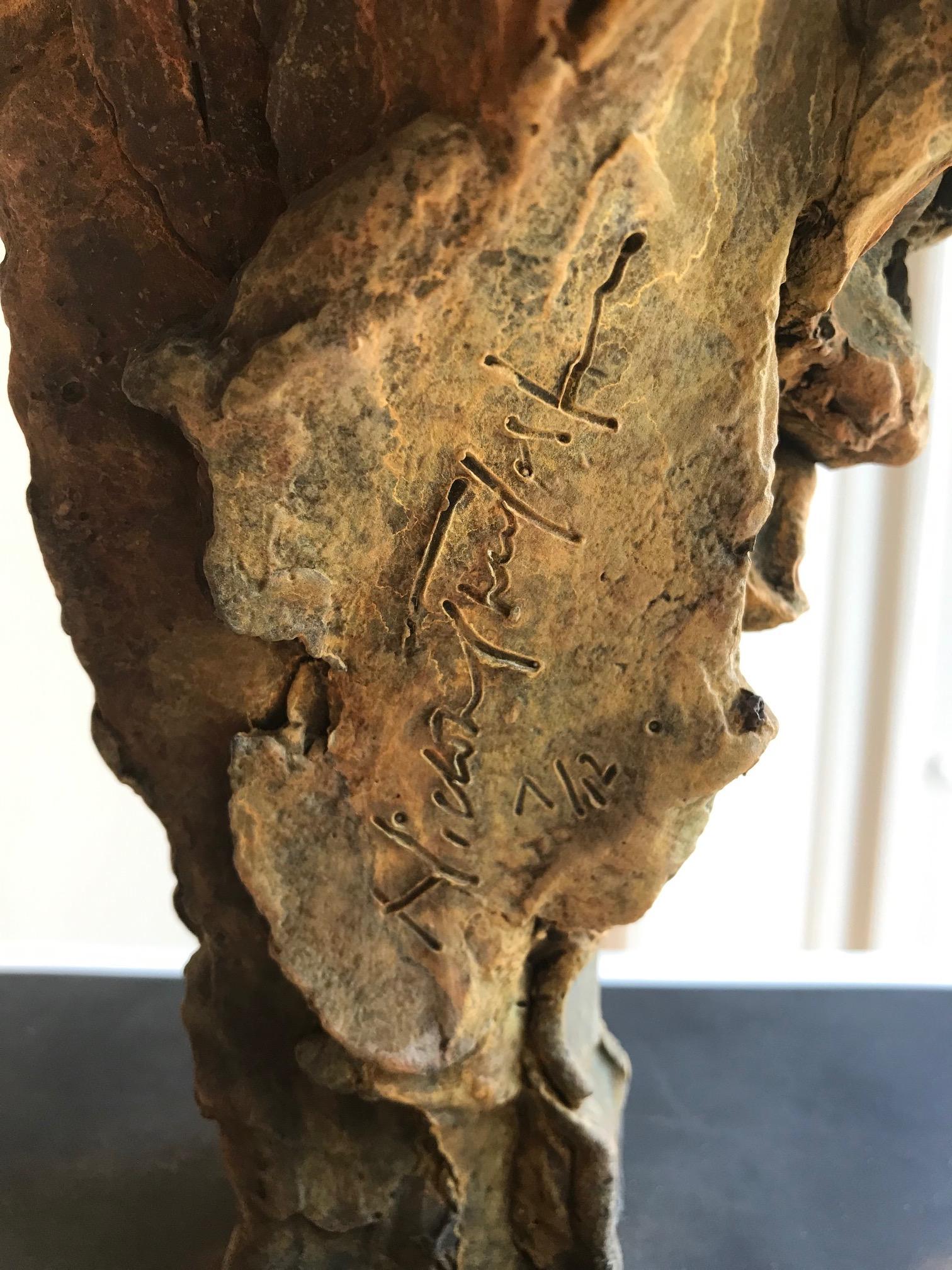 ''Paria'', Escultura Contemporánea de Bronce Retrato de un Perro del Antiguo Egipto 8