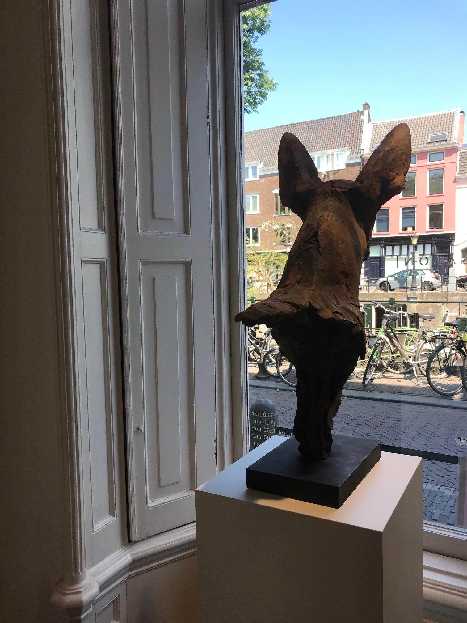 Nichola Theakston (1967) se ha consolidado como una de las escultoras contemporáneas más destacadas del Reino Unido en el género animal. 

Con el ''Paria'', Nichola demuestra lo exquisita que es captando los sentimientos y expresiones de un animal.