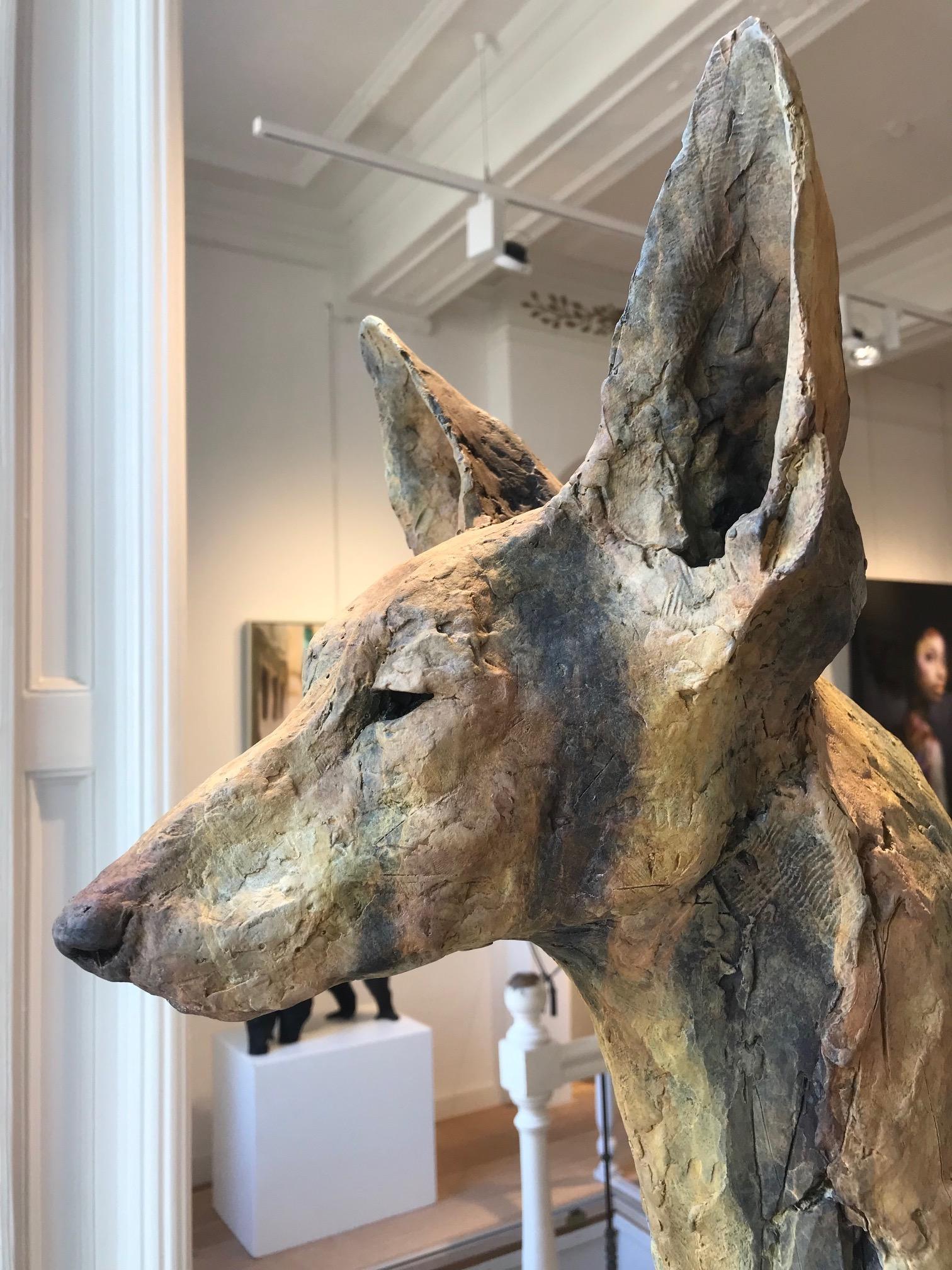 ''Paria'', Escultura Contemporánea de Bronce Retrato de un Perro del Antiguo Egipto 1