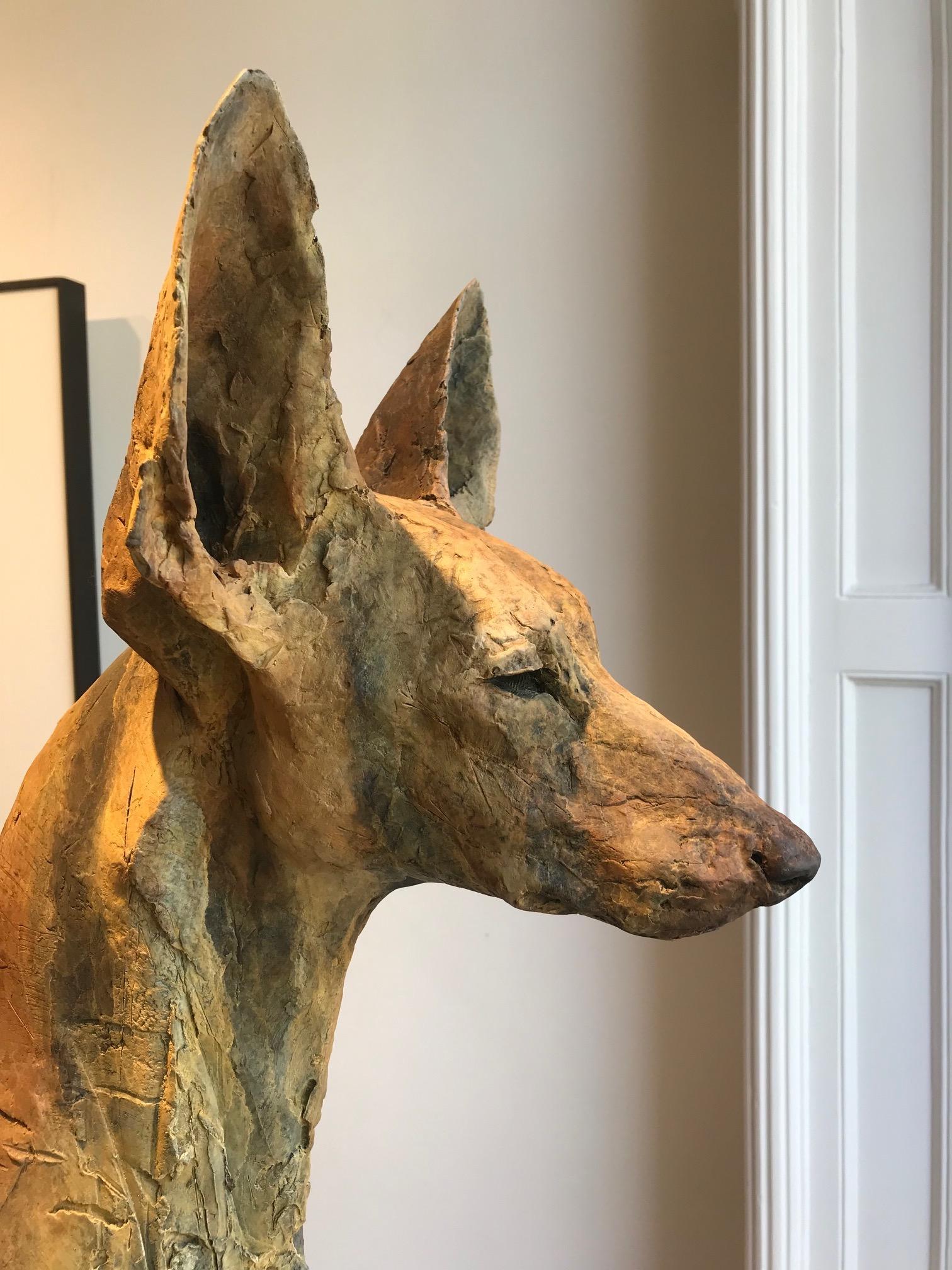 ''Paria'', Escultura Contemporánea de Bronce Retrato de un Perro del Antiguo Egipto 3