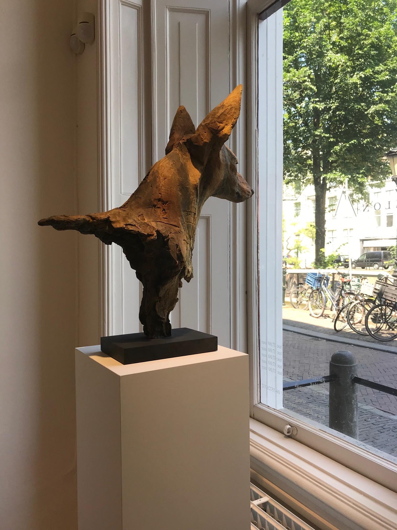 ''Paria'', Escultura Contemporánea de Bronce Retrato de un Perro del Antiguo Egipto 6