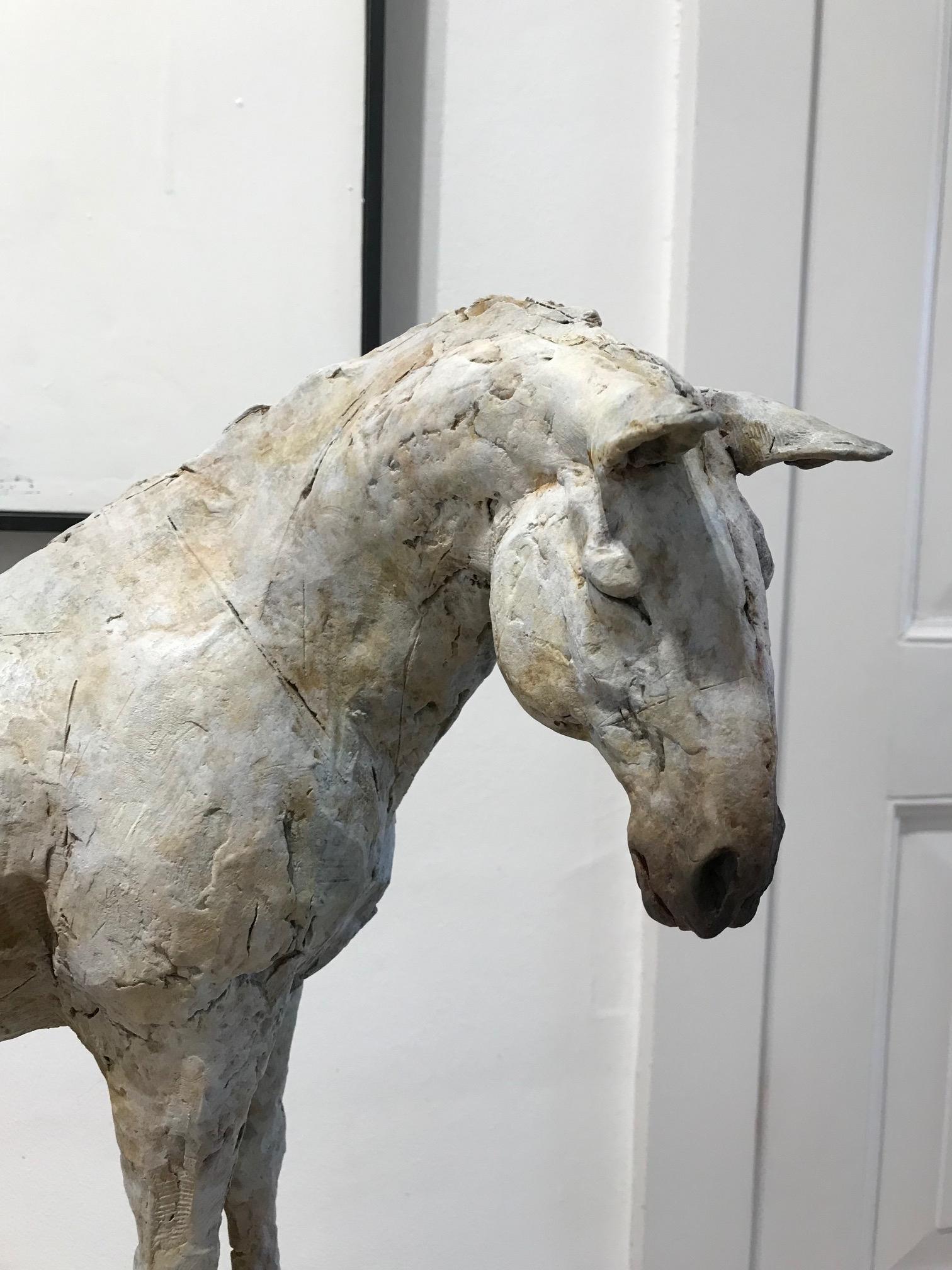 ''Resting with Ancients'', Contemporary Bronze Sculpture Portrait of a Horse 1